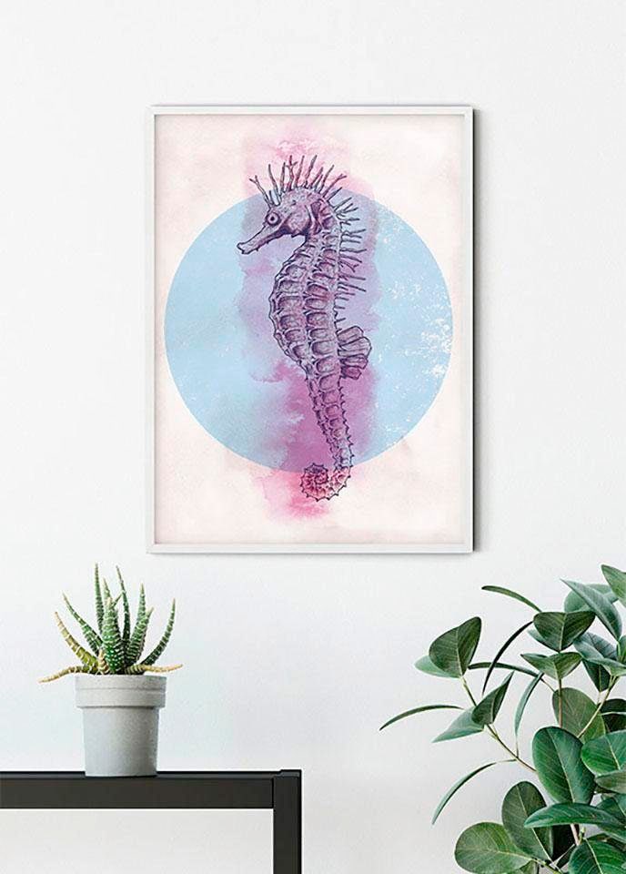 Komar Bild »Sea Horse Circle« Tiere 1 Stk. tlg. Wandbild zur Dekoration - ohne Rahmen