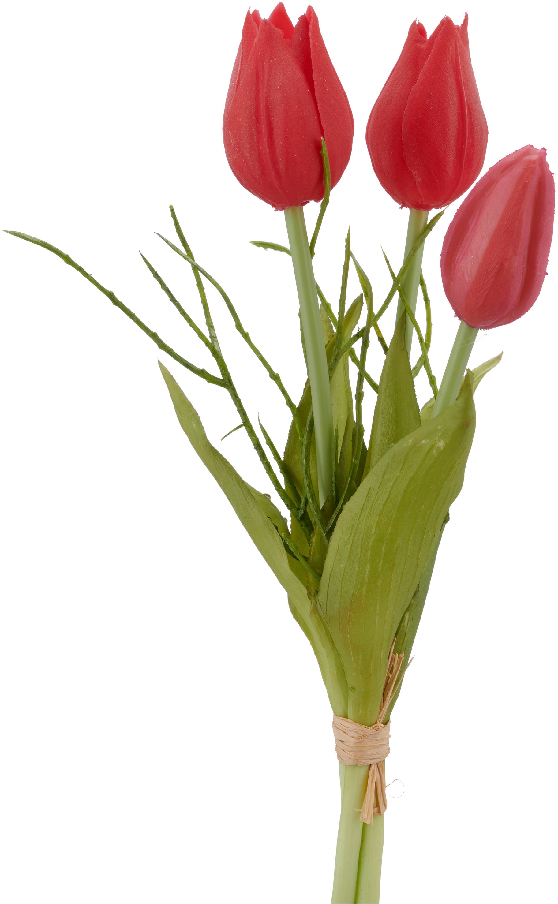 Creativ green Kunsttulpe »Tulpenbund« mit Zweigen