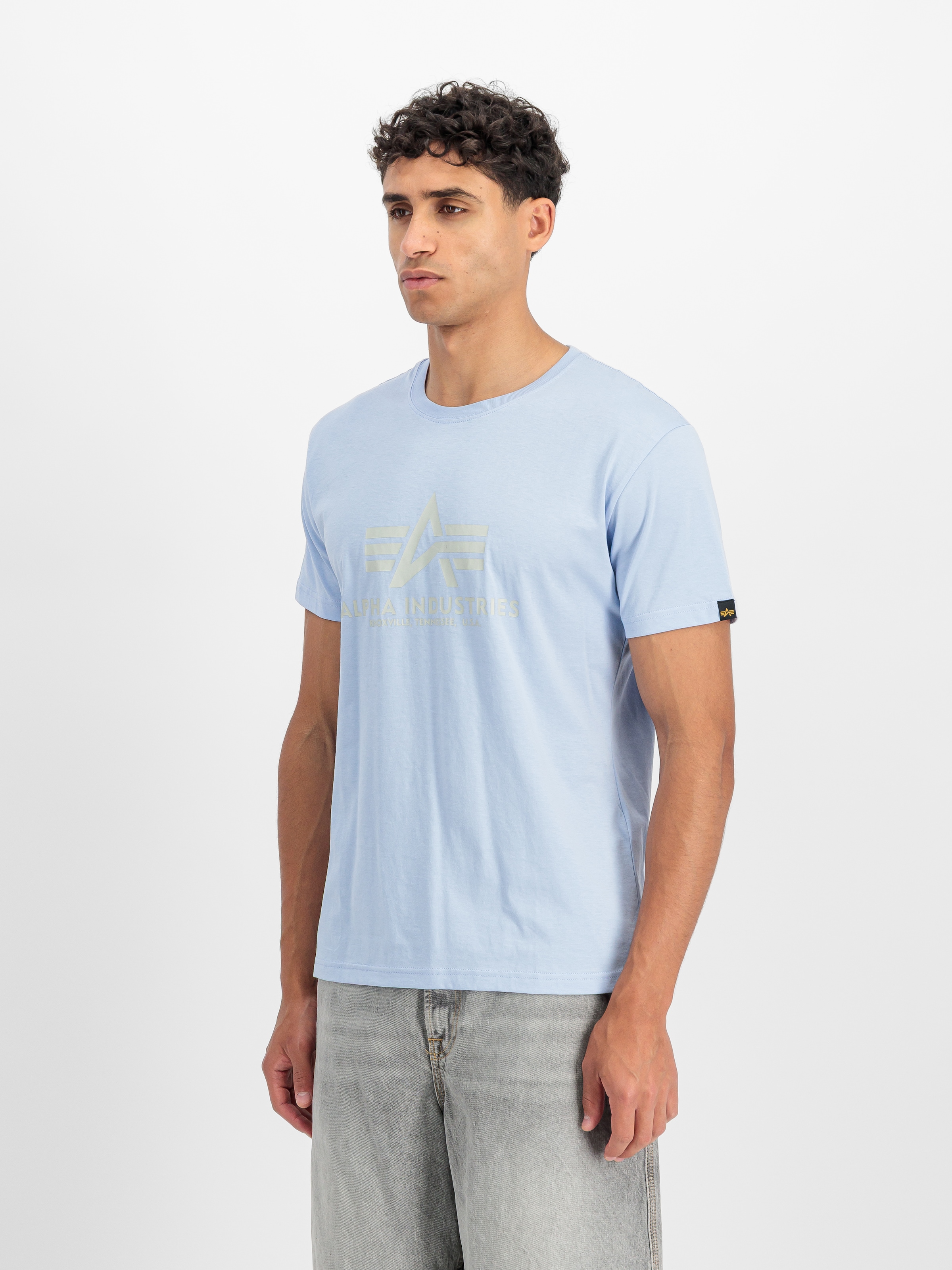 Alpha Industries T-Shirt »Basic T-Shirt« Baumwolle, regular fit