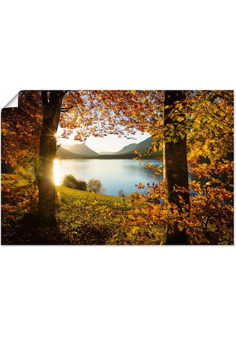 Artland Wandbild »Herbst am Sylvensteinsee«, Gewässer, (1 St.), in vielen Größen &... kaufen