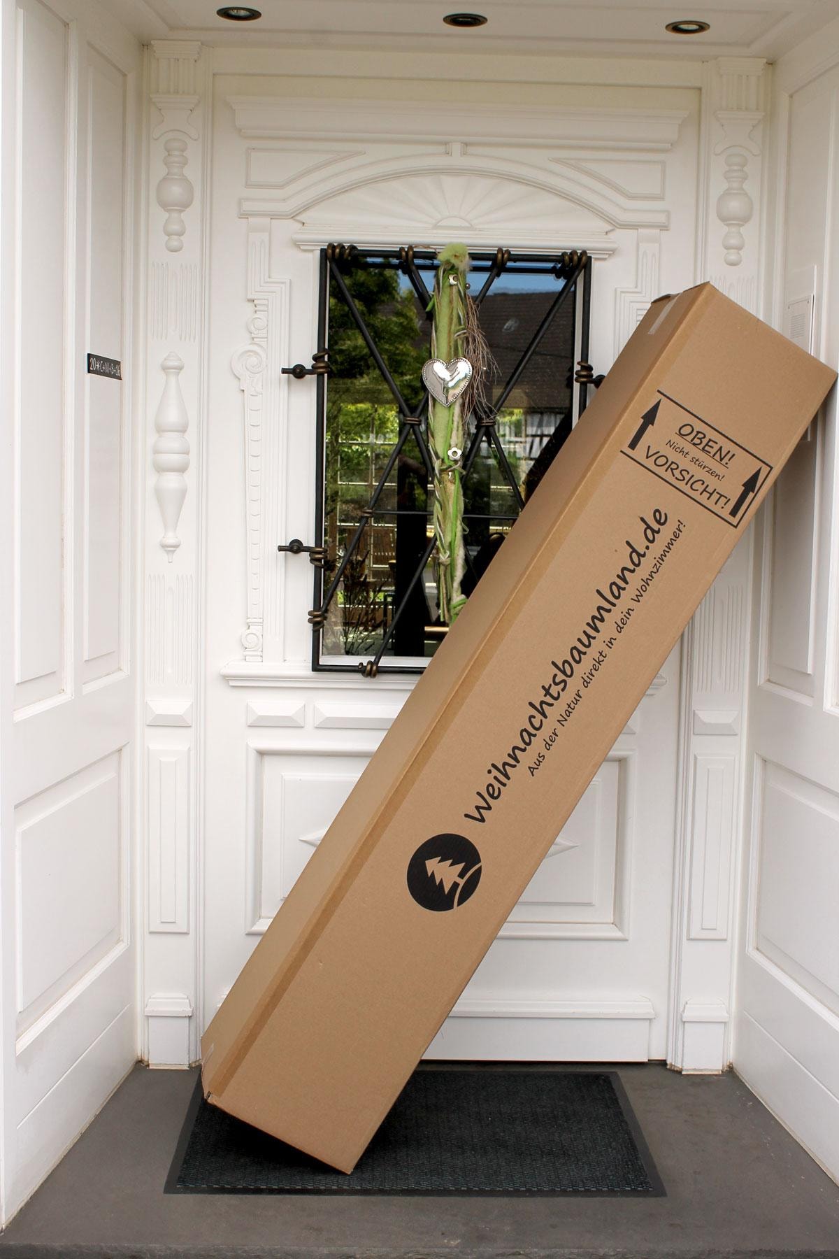 Weihnachtsbaumland Echter Weihnachtsbaum »Echte Nordmanntanne zum Einpflanzen, Weihnachtsdeko aussen« im Topf gewachsen