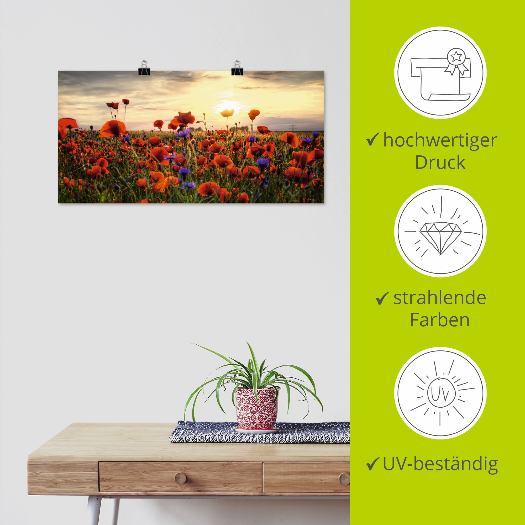 Artland Wandbild »Mohnblumen« Blumen 1 Stk. tlg. als Alubild, Leinwandbild, Poster in verschied. Größen