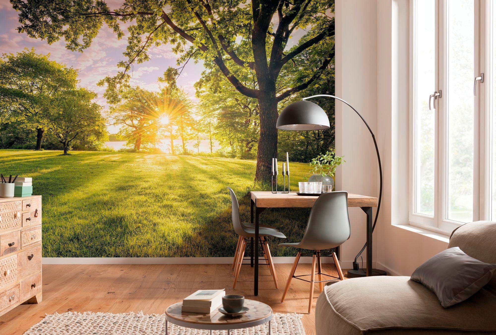 Komar Vliestapete »Digitaldruck Vlies - Golden Moment - Größe 400 x 250 cm«, bedruckt, Wohnzimmer, Schlafzimmer