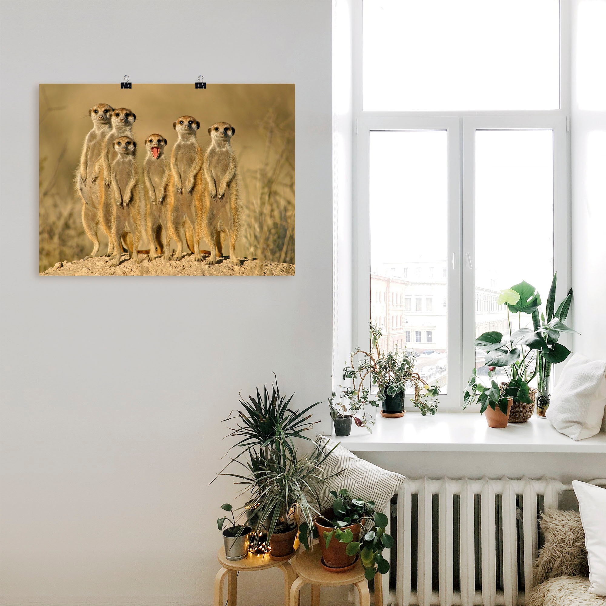 Artland Poster »Erdmännchen Familie« Wildtiere 1 Stk. tlg. als Poster in verschied. Größen