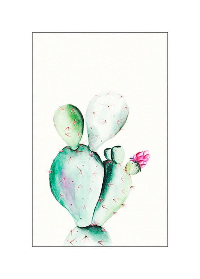 Komar Poster »Prickly Pear Watercolor«, Jahren 3 Wohnzimmer mit Kinderzimmer, online kaufen Pflanzen-Blätter, St.), (1 Schlafzimmer, XXL Garantie 