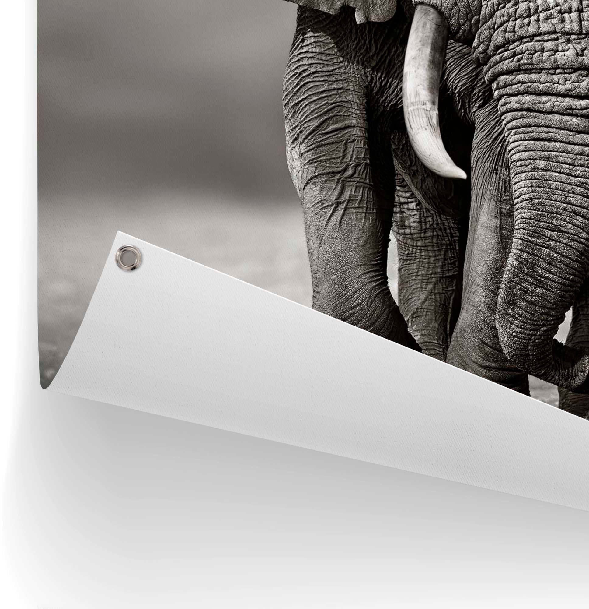 Reinders! Poster »Elefant«