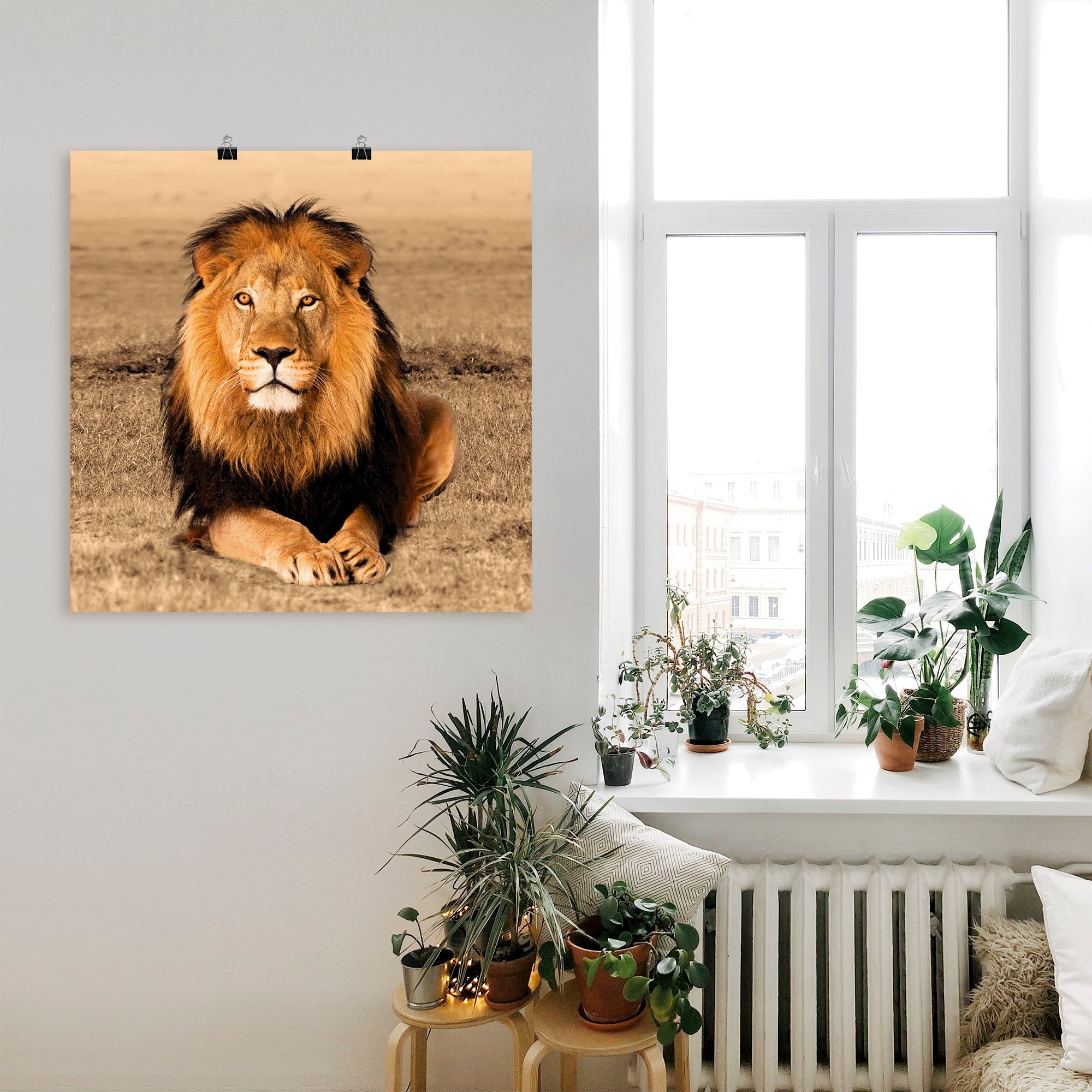 Artland Wandbild »Löwe« Wildtiere 1 Stk. tlg. als Alubild, Leinwandbild, Poster in verschied. Größen