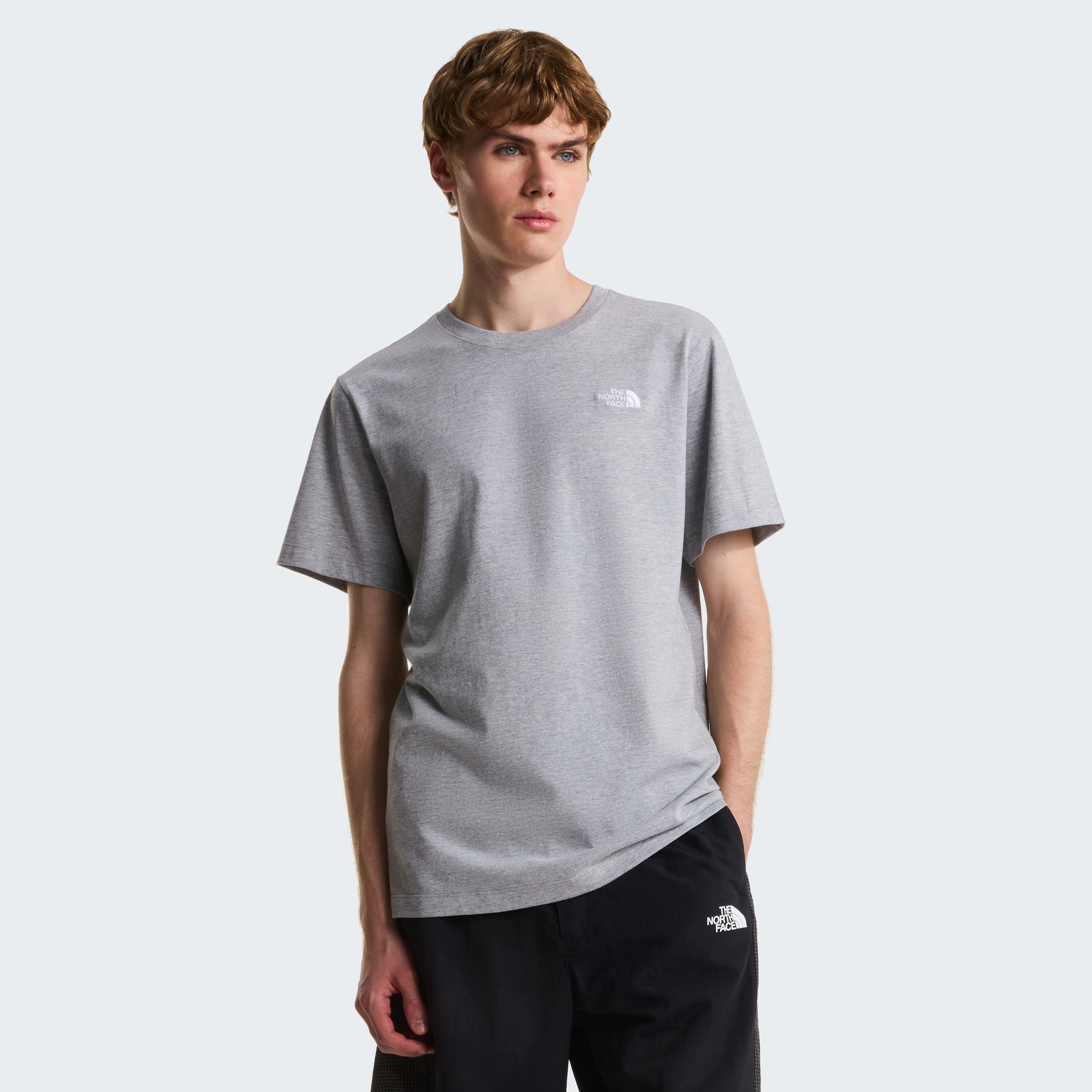 The North Face T-Shirt »M EVOLUTION SIMPLE DOME REGULAR SHORT SL« normale Passform, Kurzarm, für den Alltag, aus Baumwolle