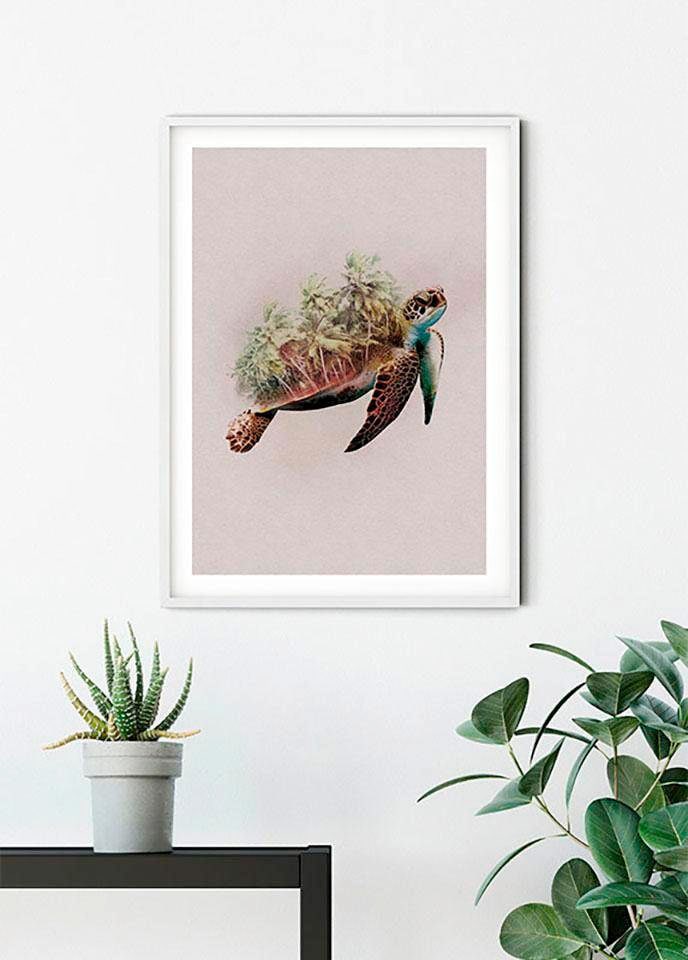Komar Bild »Animals Paradise Turtle«, Tiere, (1 St.), Wandbild zur Dekoration - ohne Rahmen