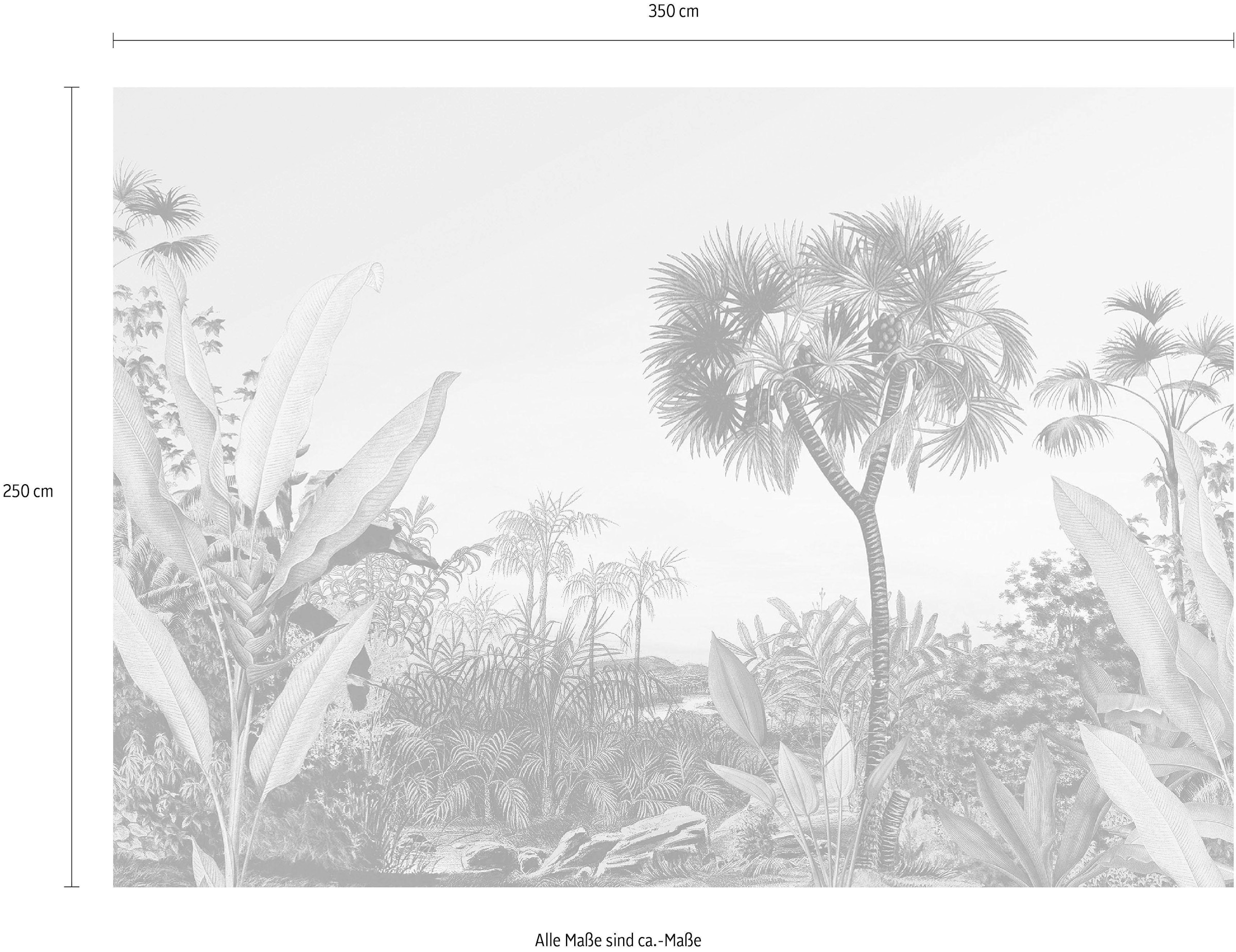 Komar Vliestapete »Digitaldruck Vlies -  Oasis - Größe 350 x 250 cm« bedruckt glatt Wohnzimmer, Schlafzimmer