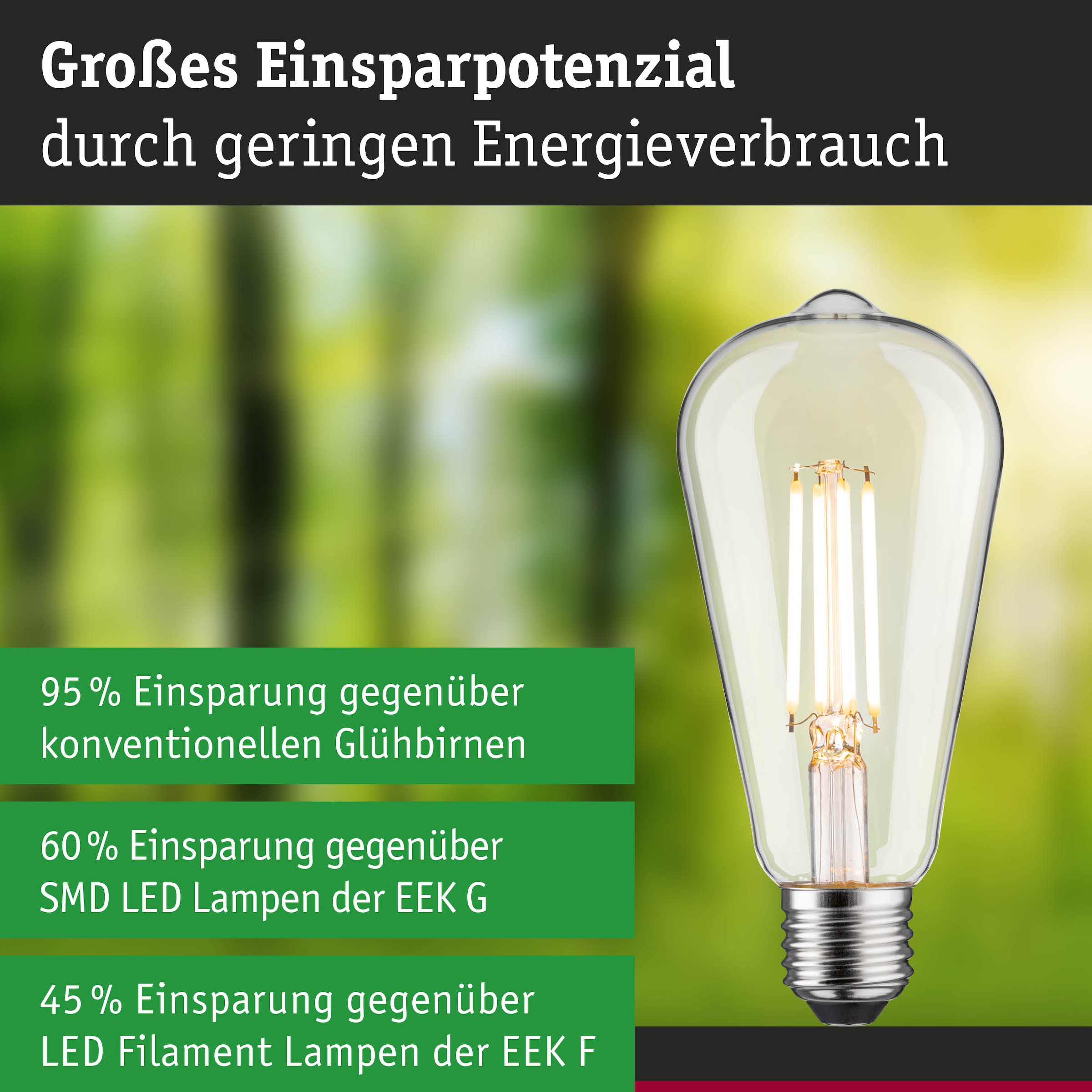 Paulmann LED-Leuchtmittel »Efficient-Line ST64 806lm 4,3W 3000K klar 230V« E27 1 Stk. Warmweiß