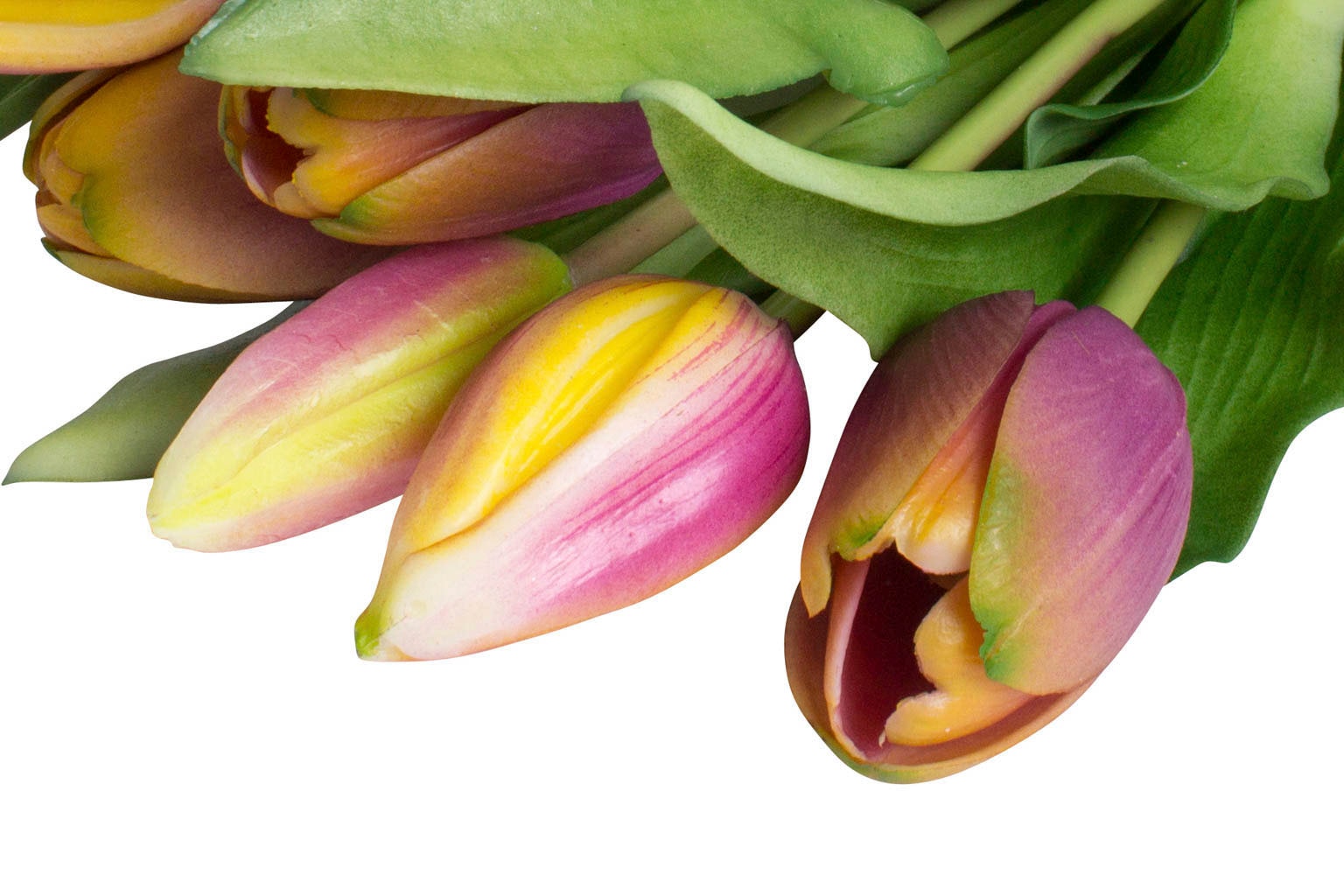 Botanic-Haus Kunstblume »Willa«, Tulpenbündel im 7er-Set