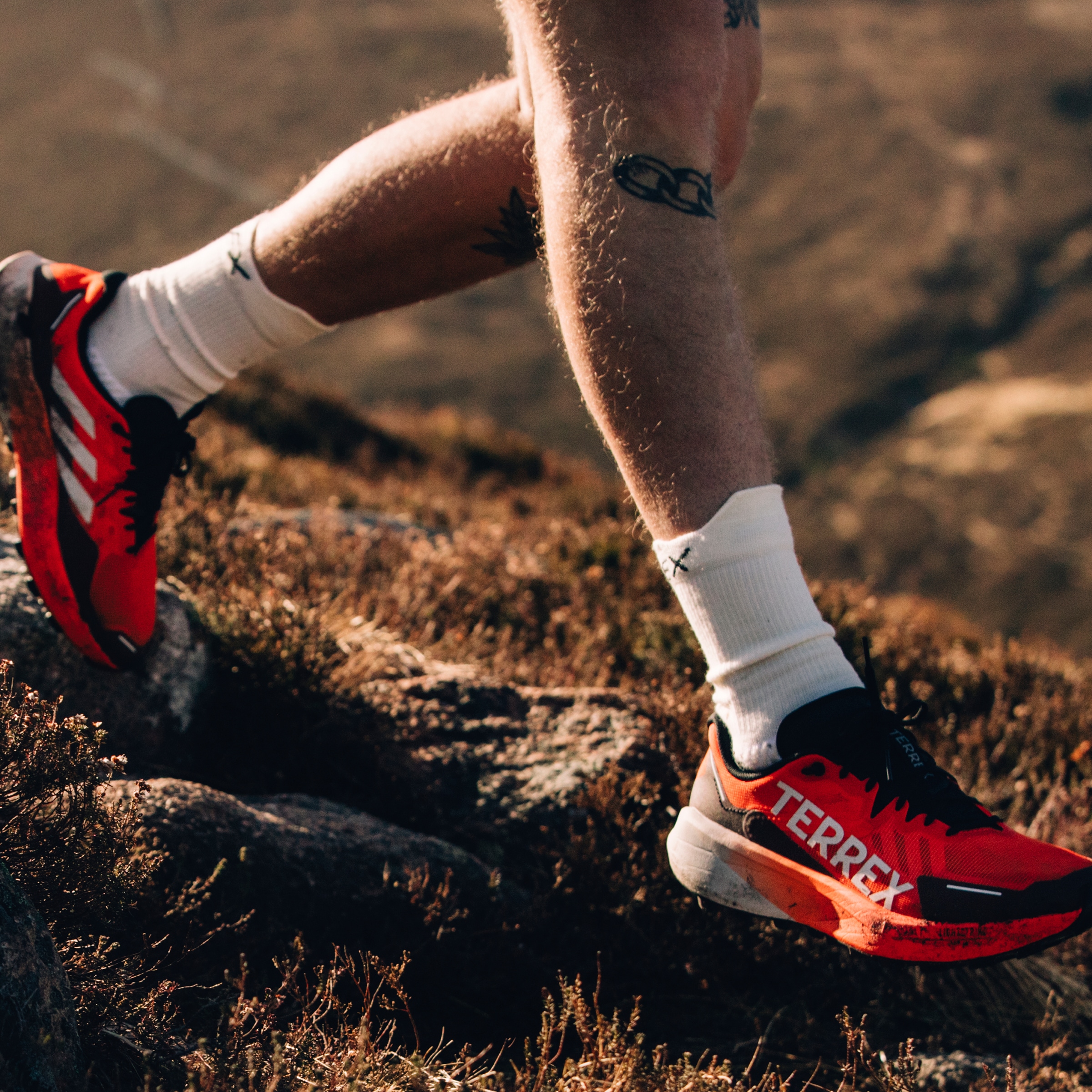 adidas TERREX Trailrunningschuh »TERREX AGRAVIC 3 TRAILRUNNING«