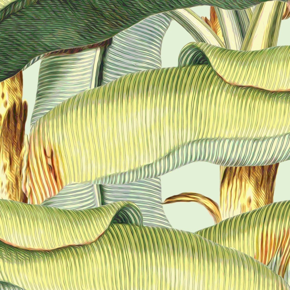 Komar Fototapete »Vlies Fototapete - Banana Grove - Größe 200 x 250 cm« Motiv | bedruckt glatt