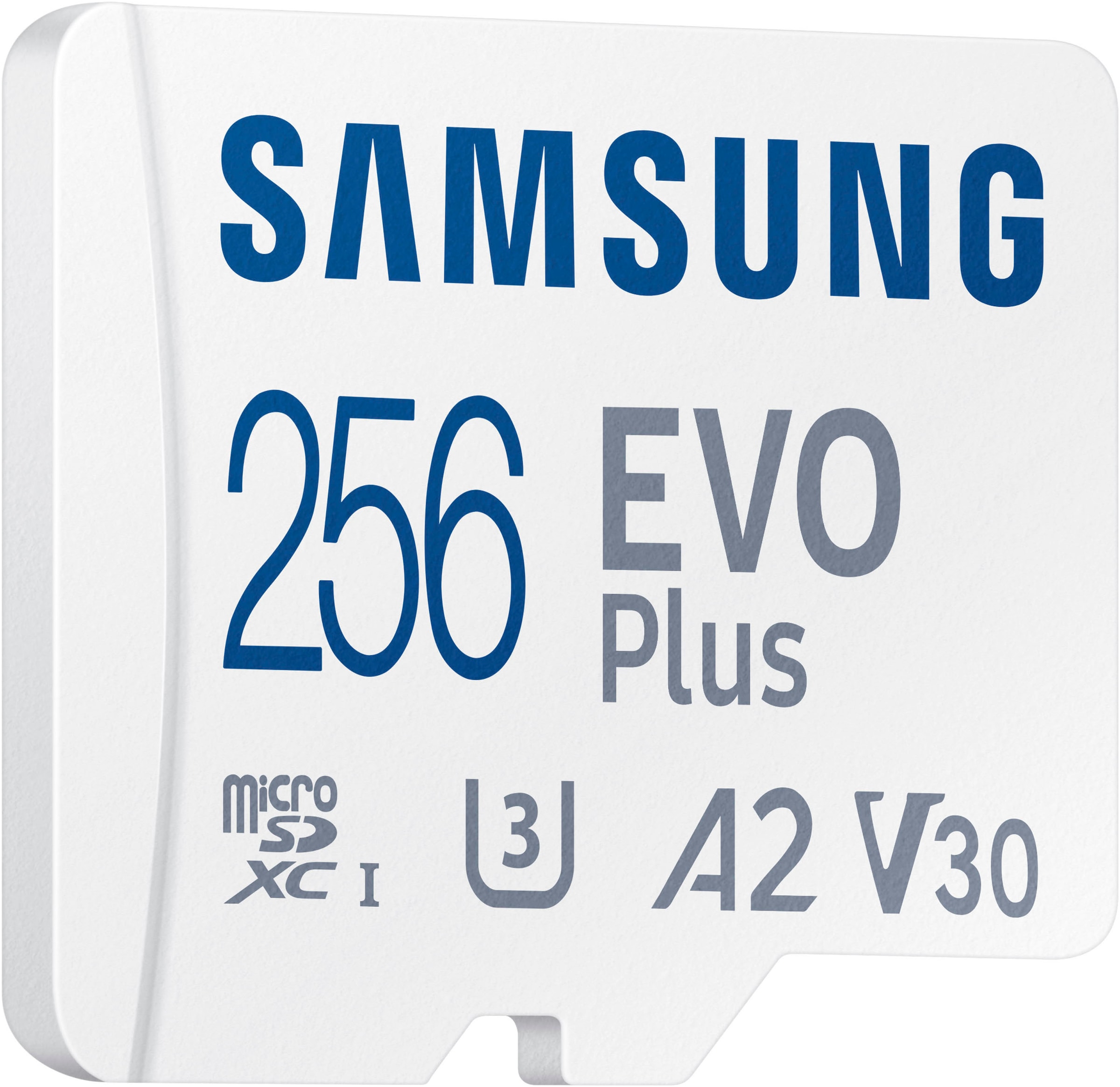 Samsung Speicherkarte »EVO Plus (2024) inkl. SD-Adapter« (256 GB Video Speed Class 30 (V30)/UHS Speed Class 3 (U3) 160 MB/s Lesegeschwindigkeit)