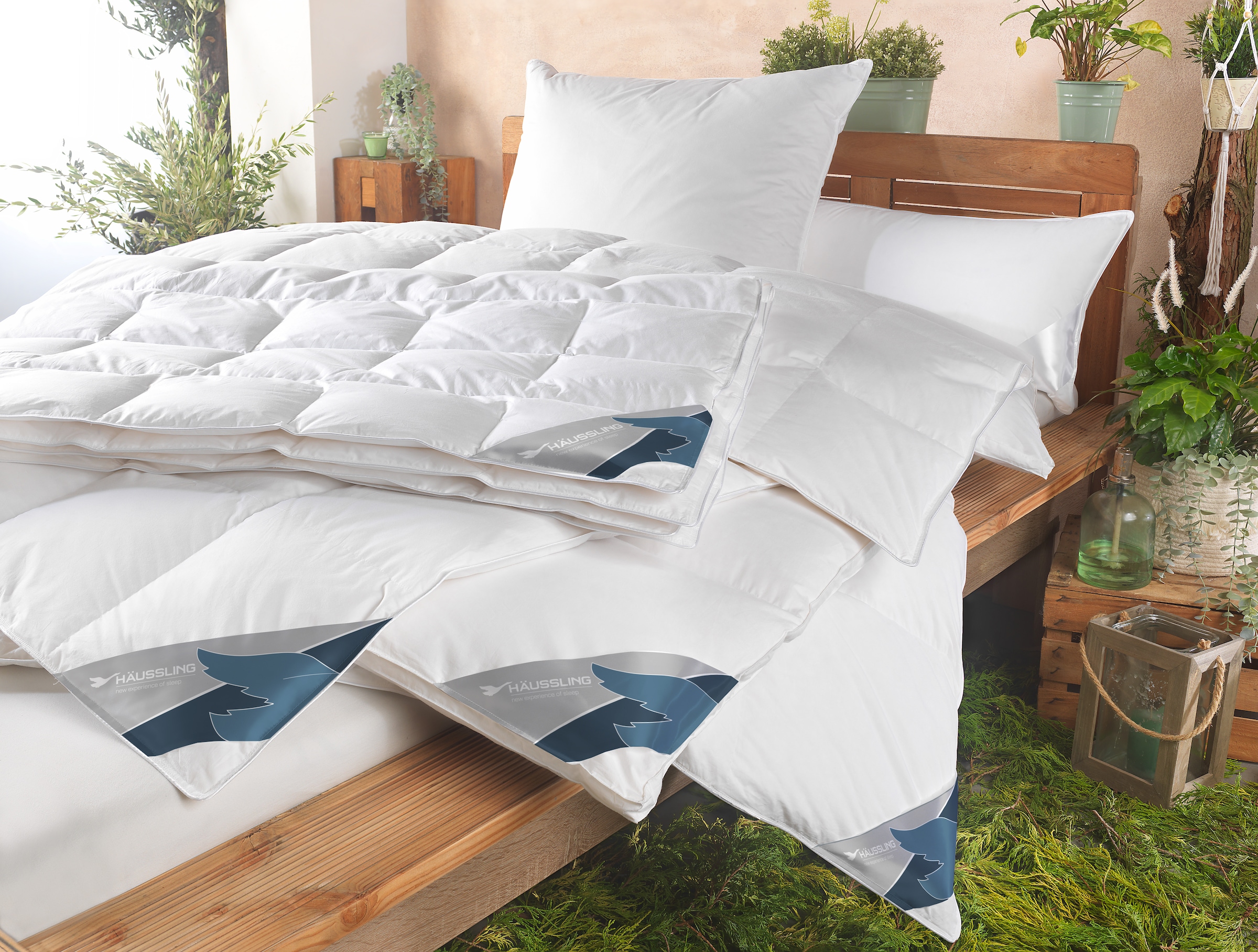 Haeussling Federkissen »GRÖNLAND Made in Green« Füllung: neueweisseFedern85undDaunen15 1 Stk. tlg. hochwertiges Daunenprodukt "Made in Green" zertifiziert