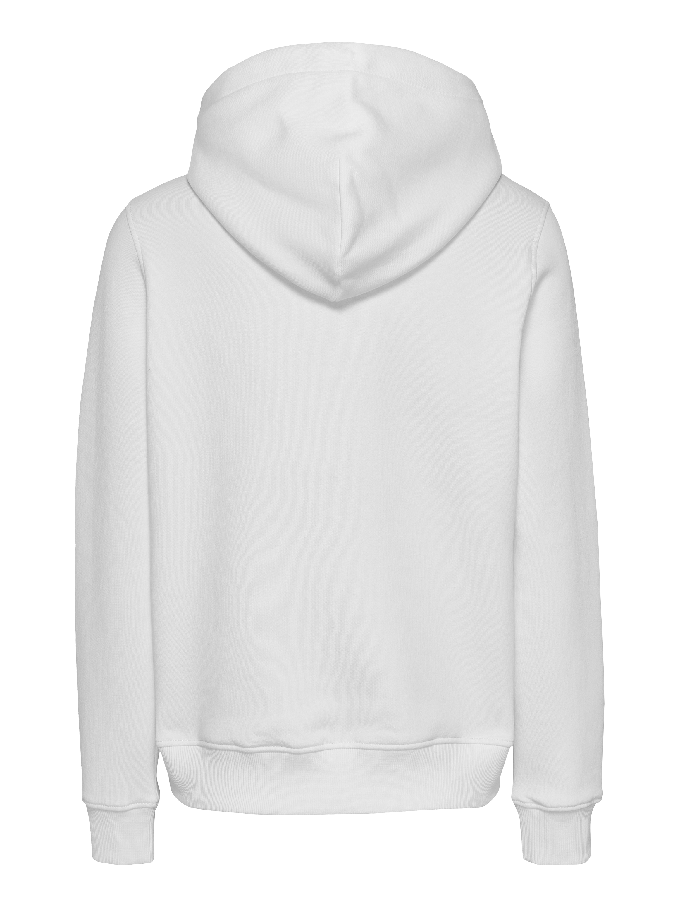 Tommy Jeans Kapuzensweatshirt »TJW REG LINEAR HOODIE«, mit Logoschriftzug