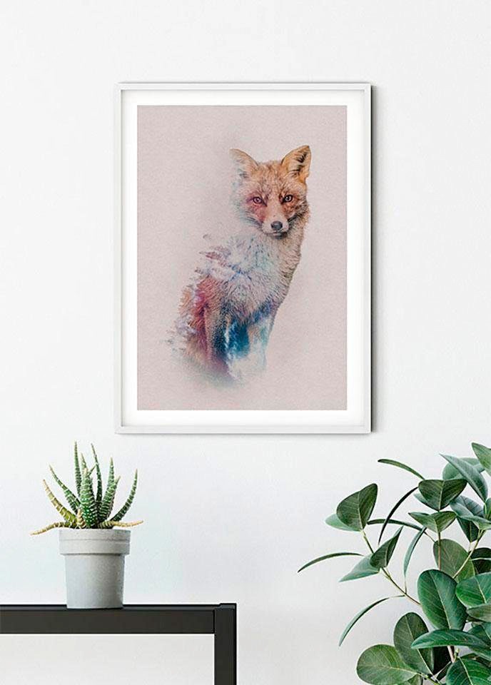 Komar Bild »Animals Forest Fox« Tiere 1 Stk. tlg. Wandbild zur Dekoration - ohne Rahmen