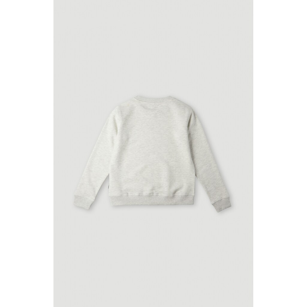 O'Neill Sweatshirt »ALL YEAR CREW«