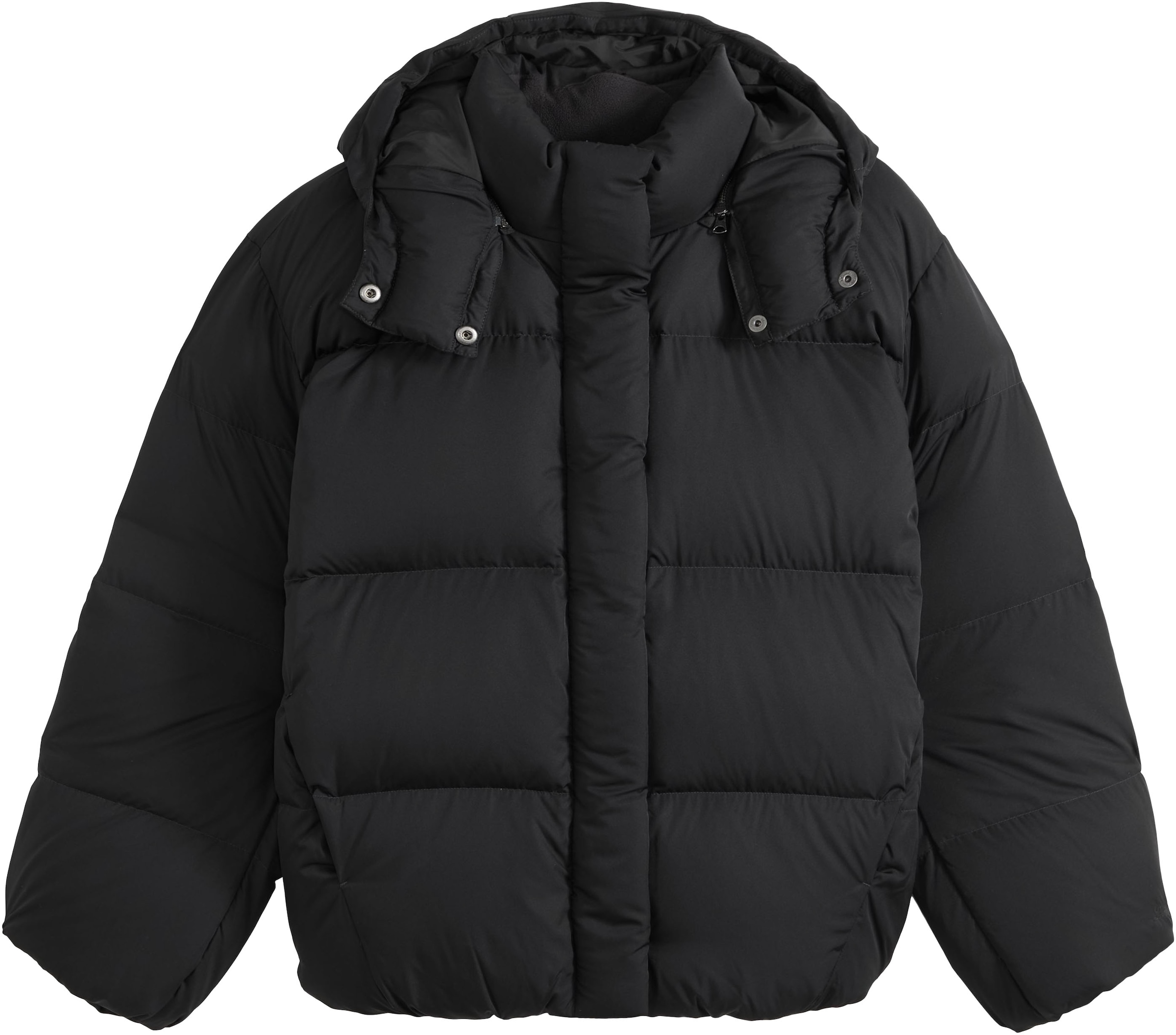 Levi's® Steppjacke »TATE BUBBLE PUFFER« mit Kapuze Elastische Abschlüsse, abnehmbare Kapuze