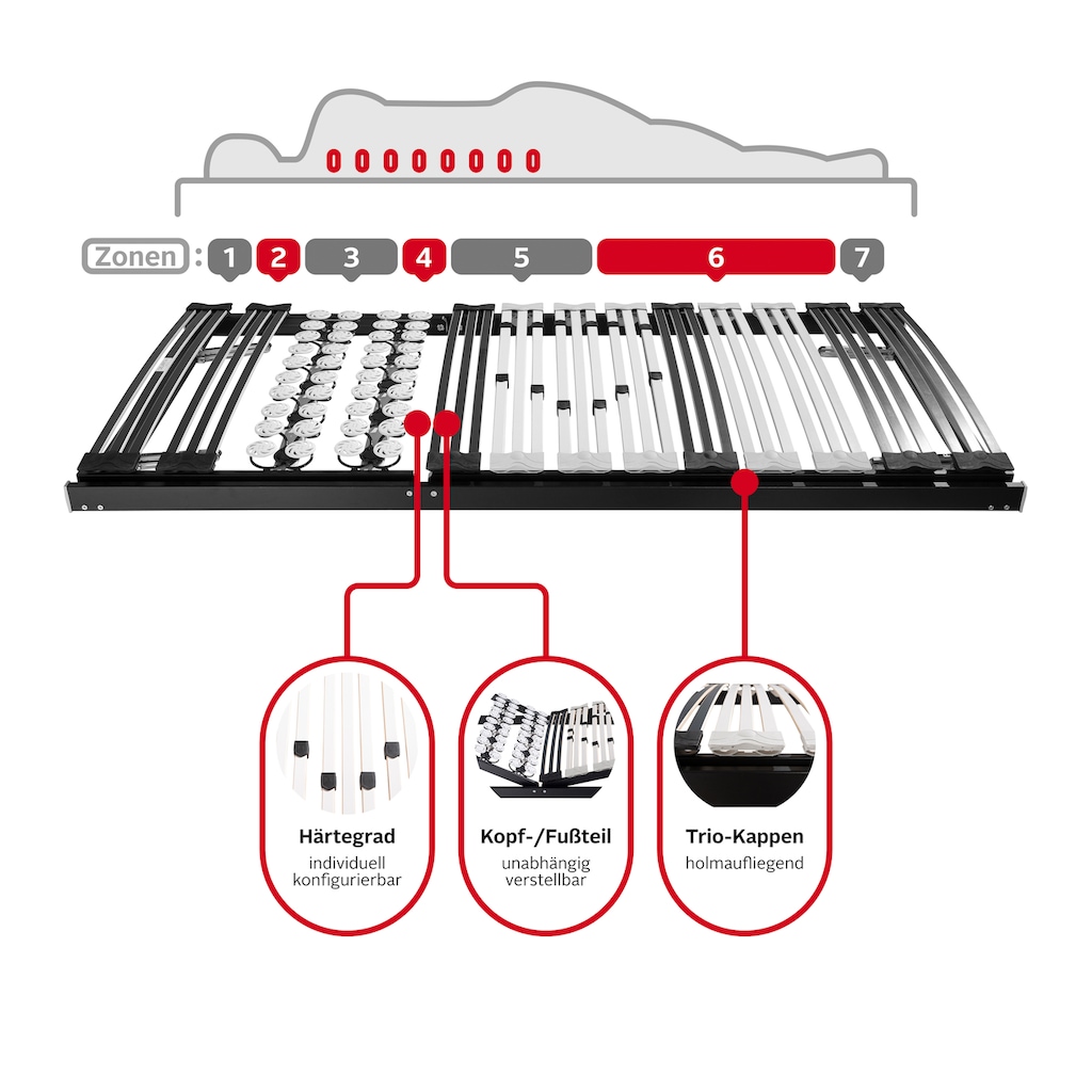 DELAVITA Teiltellerlattenrost »Müritz 90x200, 140x200 cm und weiteren Größen«, Lattenrost für alle Matratzen, langlebig, ergonomisch, 7-Zonen