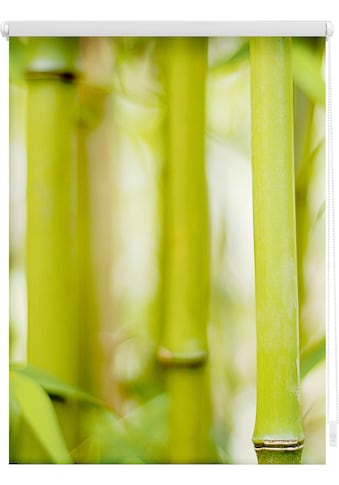 Seitenzugrollo »Klemmfix Motiv Bambus«, Lichtschutz, ohne Bohren, freihängend