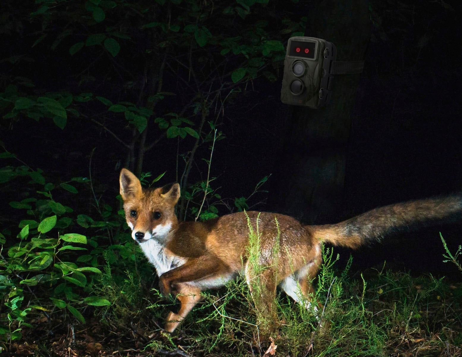 Technaxx Wildkamera »Nature Wild Cam TX-160«, Außenbereich