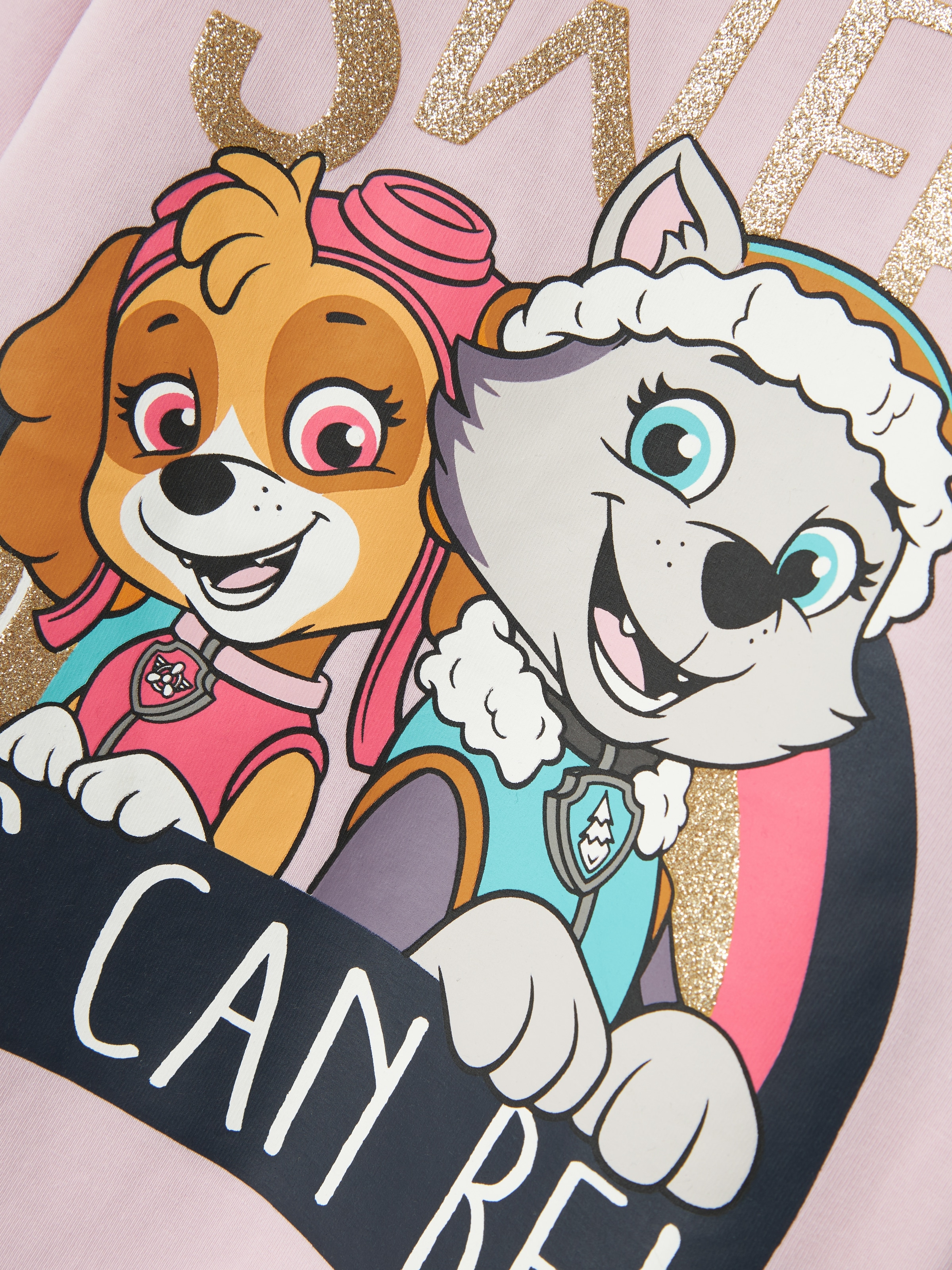 Name It Langarmshirt »NMFDYS PAWPATROL LS TOP NOOS CPLG« mit Paw Patrol Druck