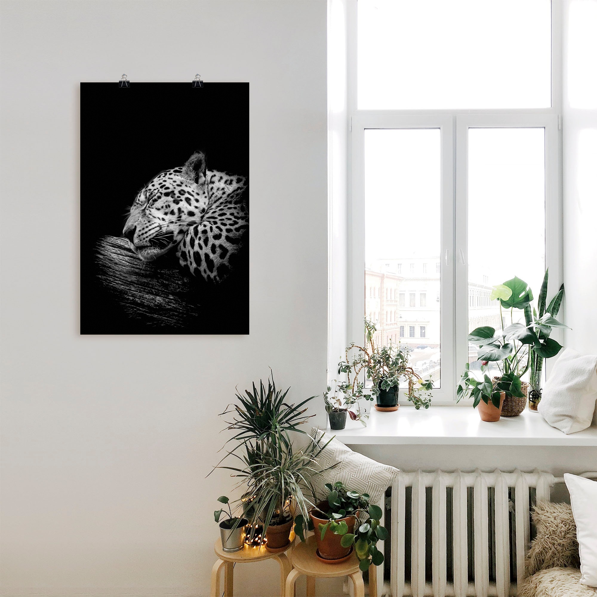 Artland Wandbild »Der schlafende Jaguar« Wildtiere 1 Stk. tlg. als Alubild, Poster in verschied. Größen