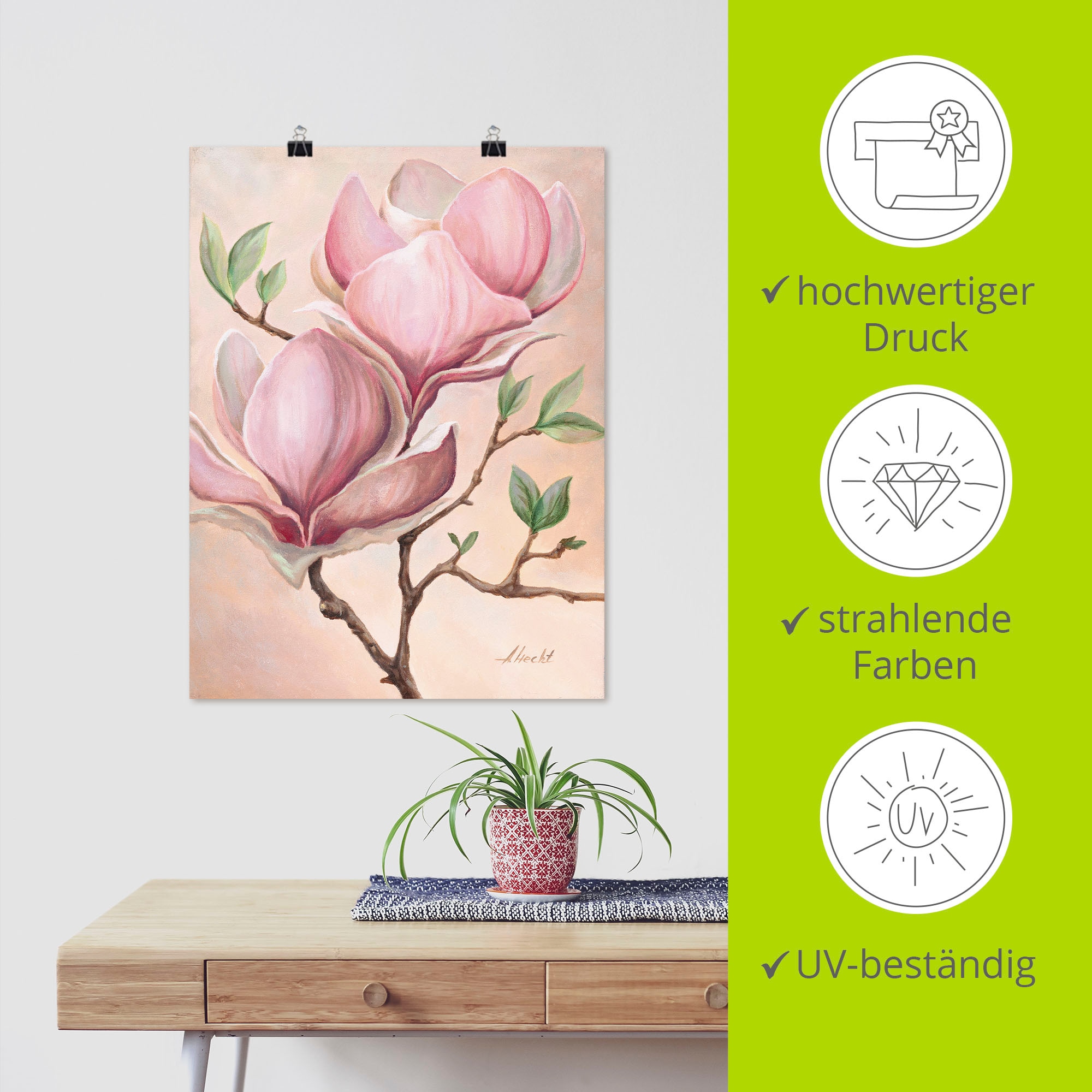 Artland Wandbild »Magnolienblüten« Blumen 1 Stk. tlg. als Leinwandbild, Poster in verschied. Größen