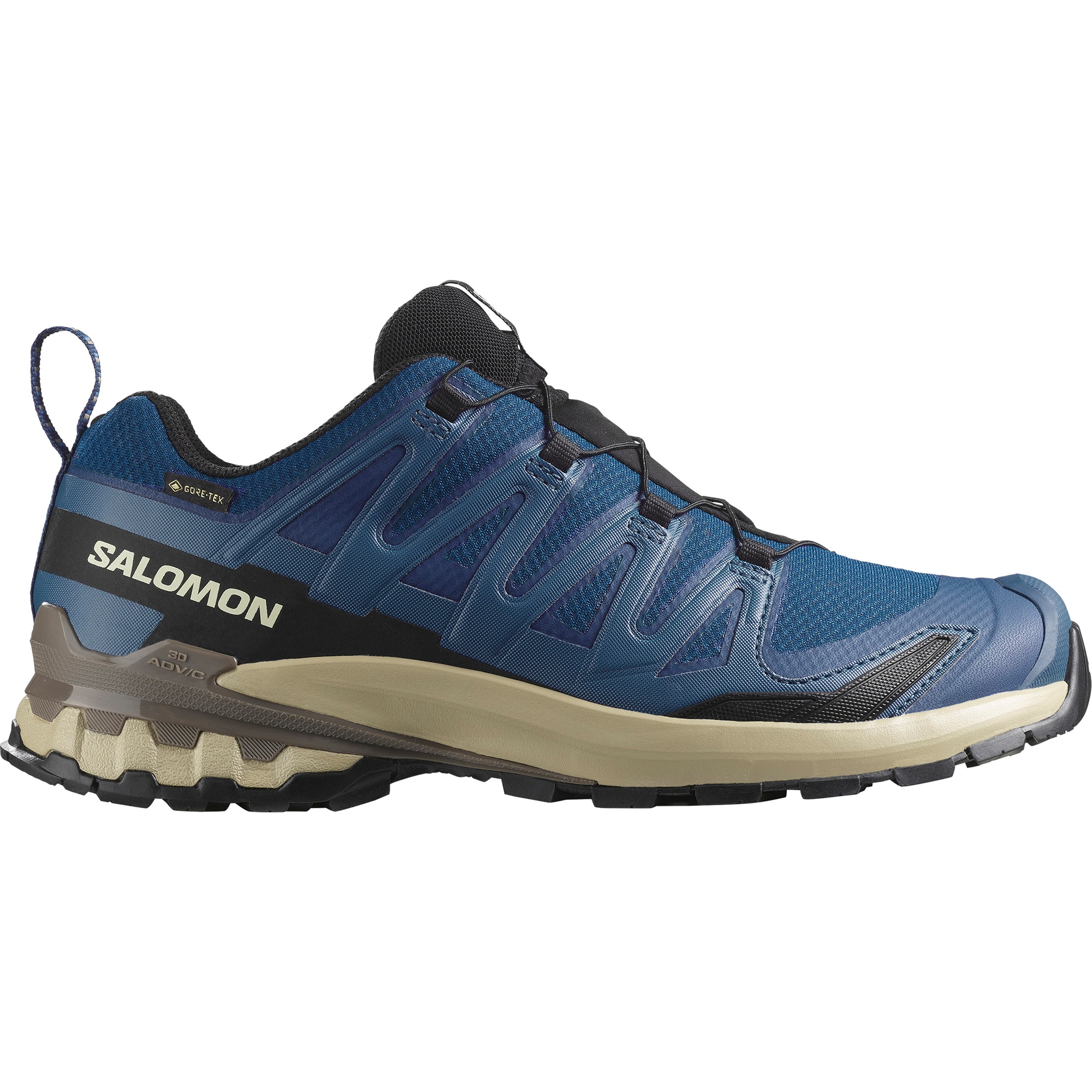 Salomon Trailrunningschuh »XA PRO 3D V9 GTX«, wasserdicht