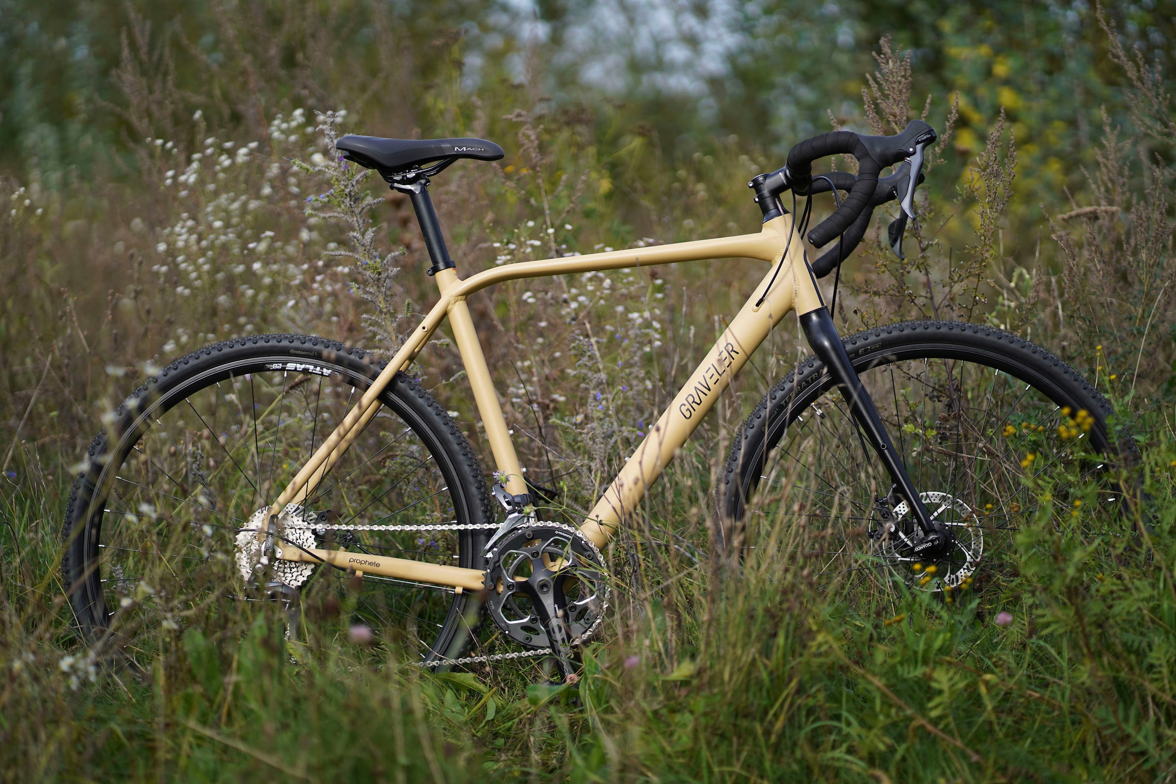 Prophete Gravelbike »Graveler«, 16 Gang, Shimano, Claris Schaltwerk, Kettenschaltung