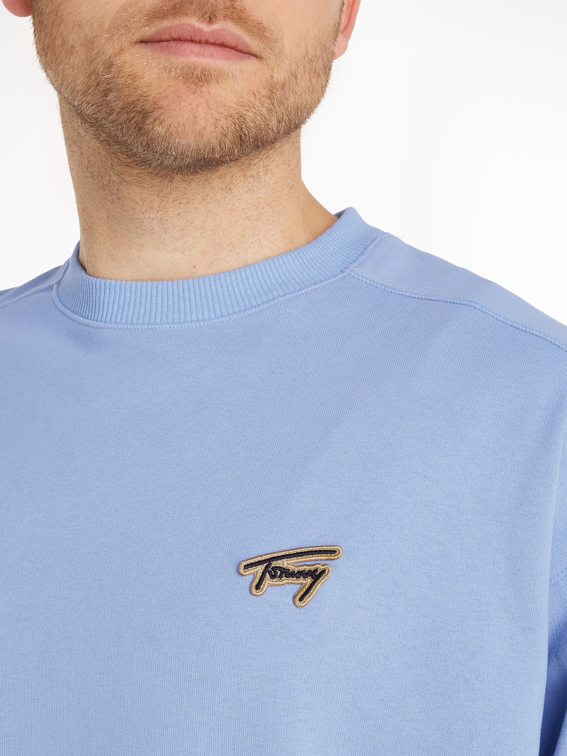 Tommy Jeans Sweatshirt »TJM BOXY SIGNATURE CREW«