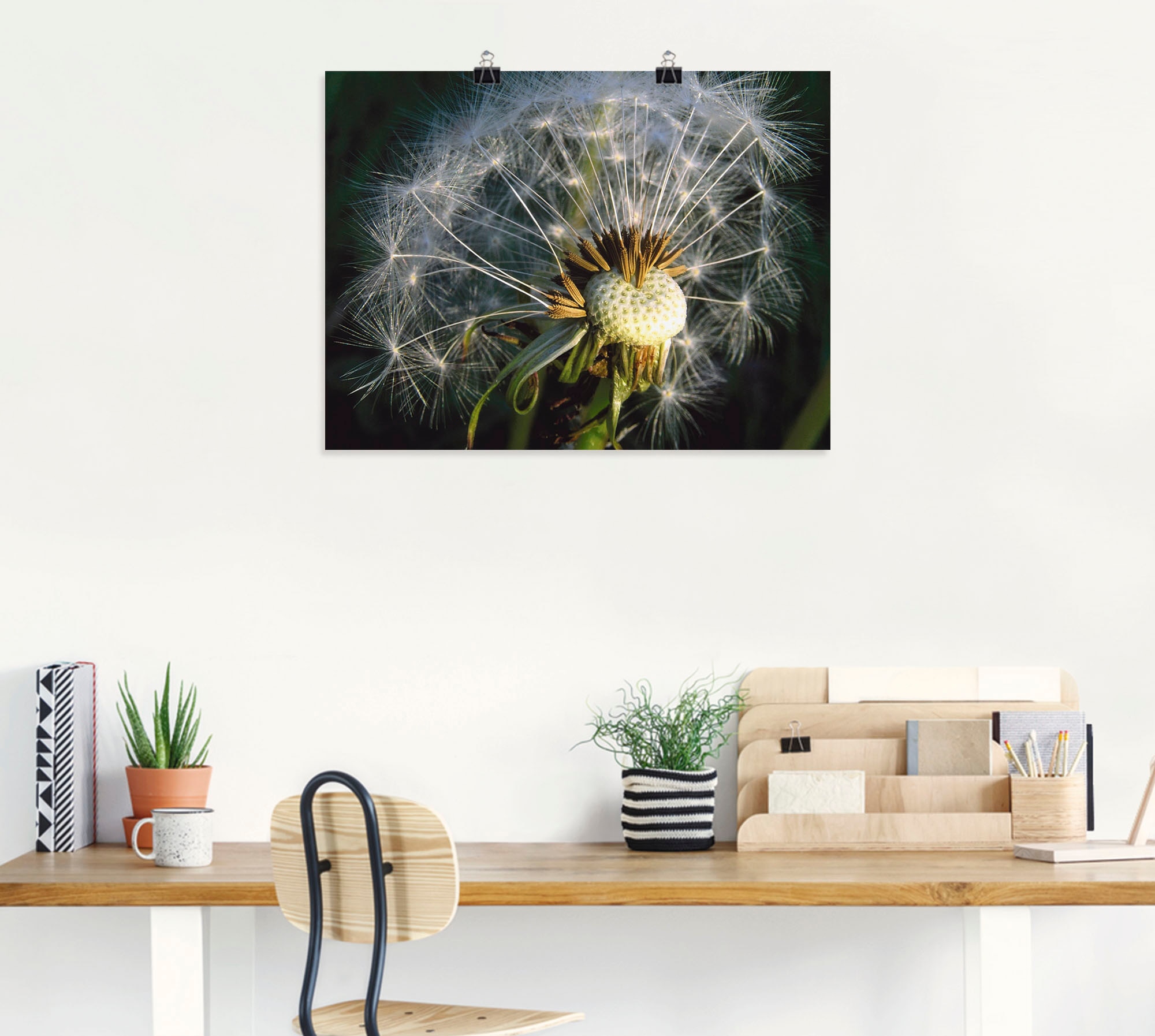 Artland Poster »Pusteblume«, Blumen, (1 St.), als Alubild, Leinwandbild, Wandaufkleber oder Poster in versch. Größen
