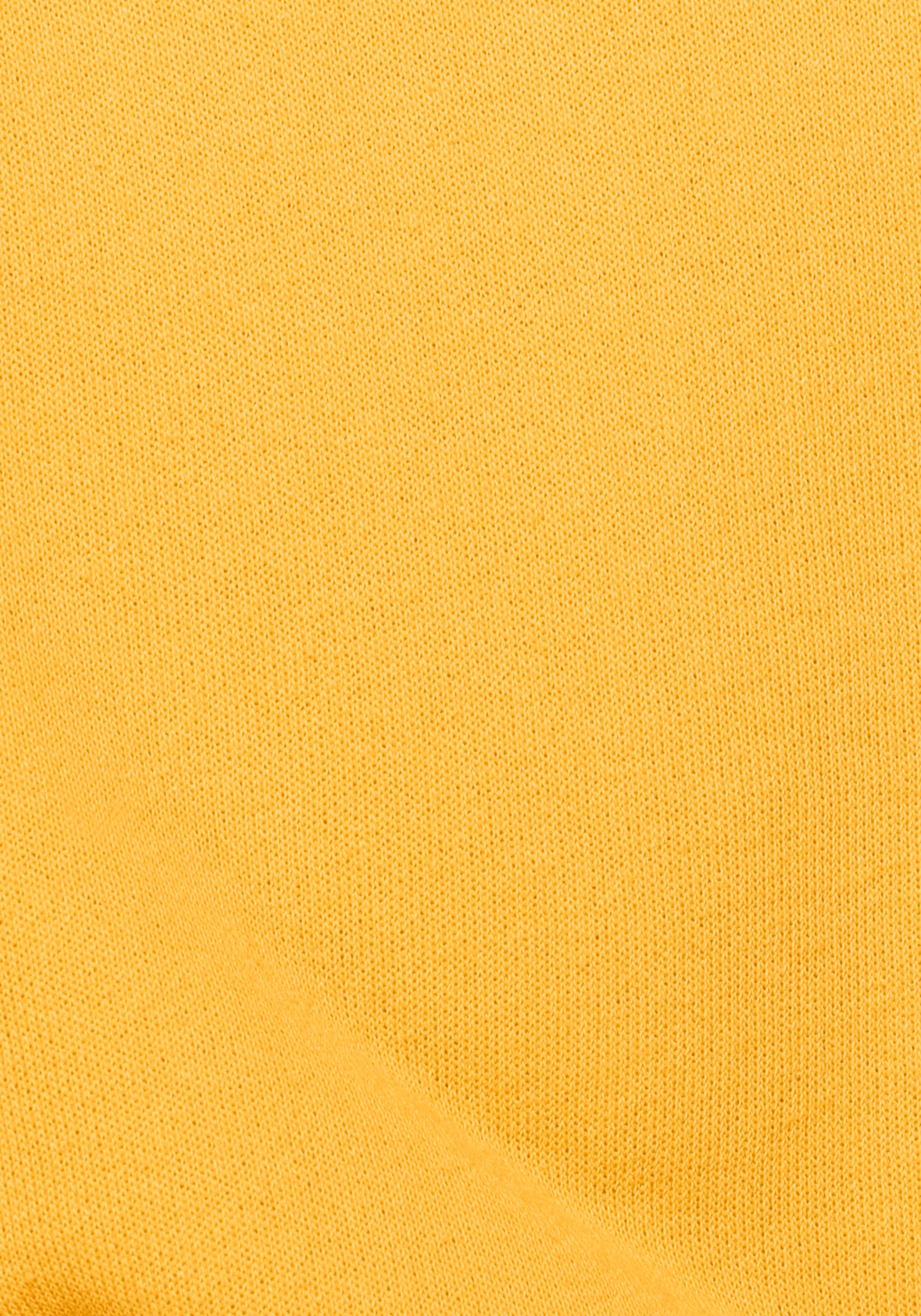 Fruit of the Loom Sweatshirt, im unifarbenen Design