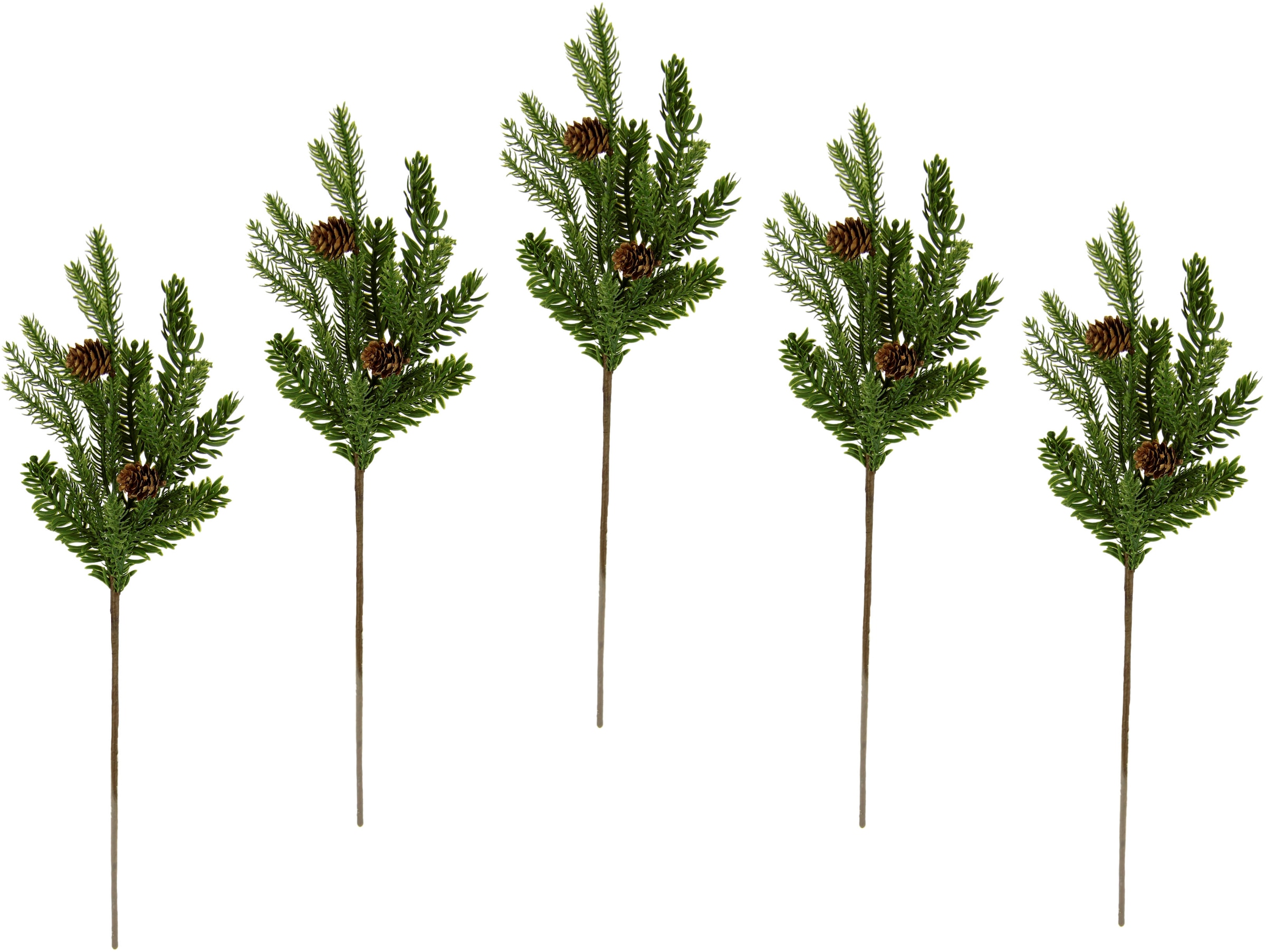 I.GE.A. Winterliche Weihnachtsdeko«, »Kunstzweig, Kunstpflanze natur mit echten Raten Set, Zweig, auf Zapfen, bestellen 5er grün, künstlicher