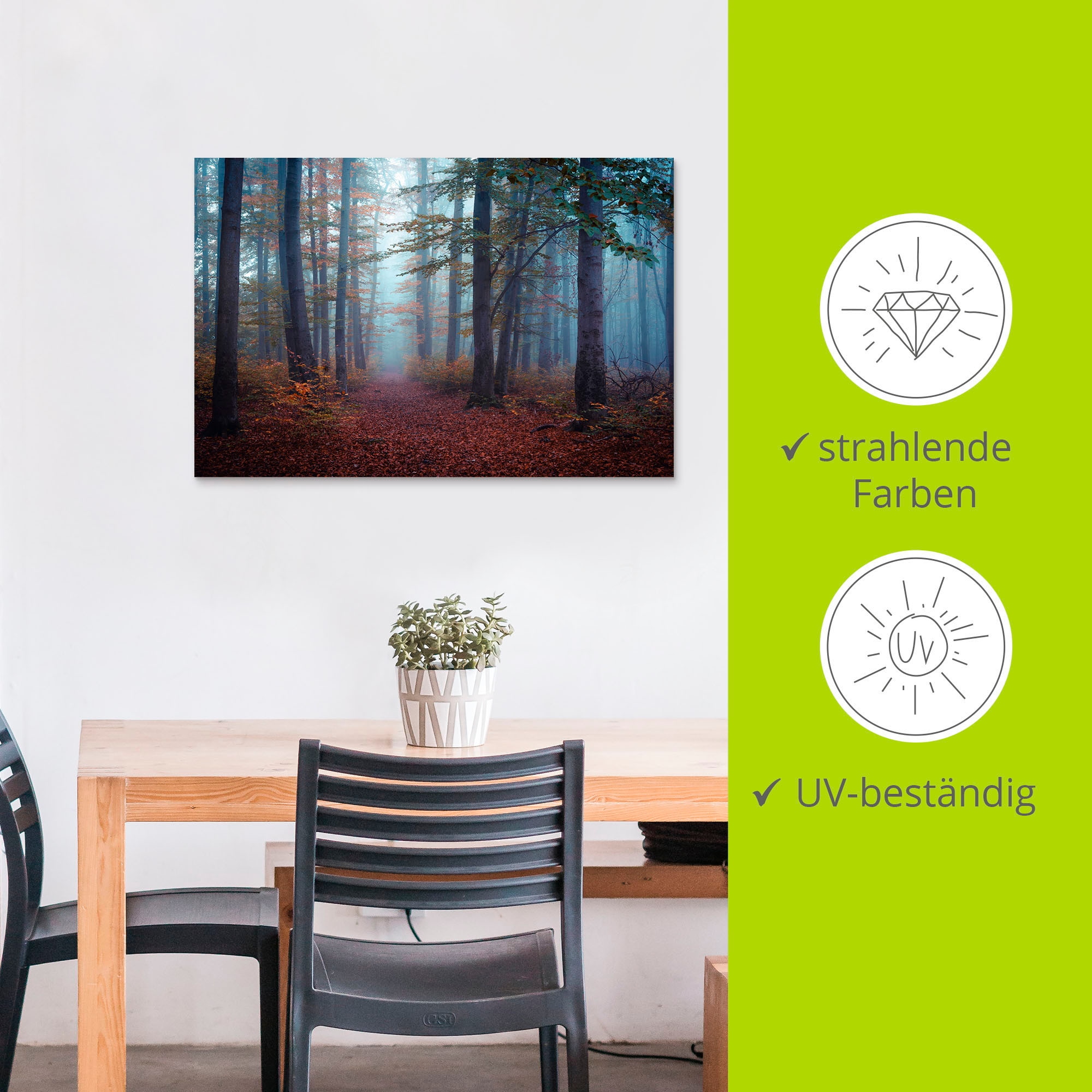 Artland Alu-Dibond-Druck »Wald im Nebel« Waldbilder 1 Stk. tlg. als Alubild in verschied. Größen