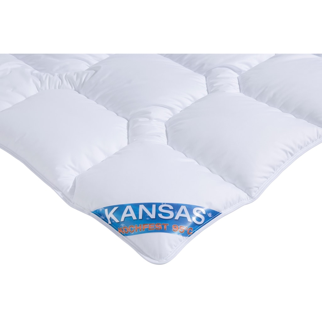 f.a.n. Schlafkomfort Microfaserbettdecke + Kopfkissen »Kansas«, (Spar-Set)