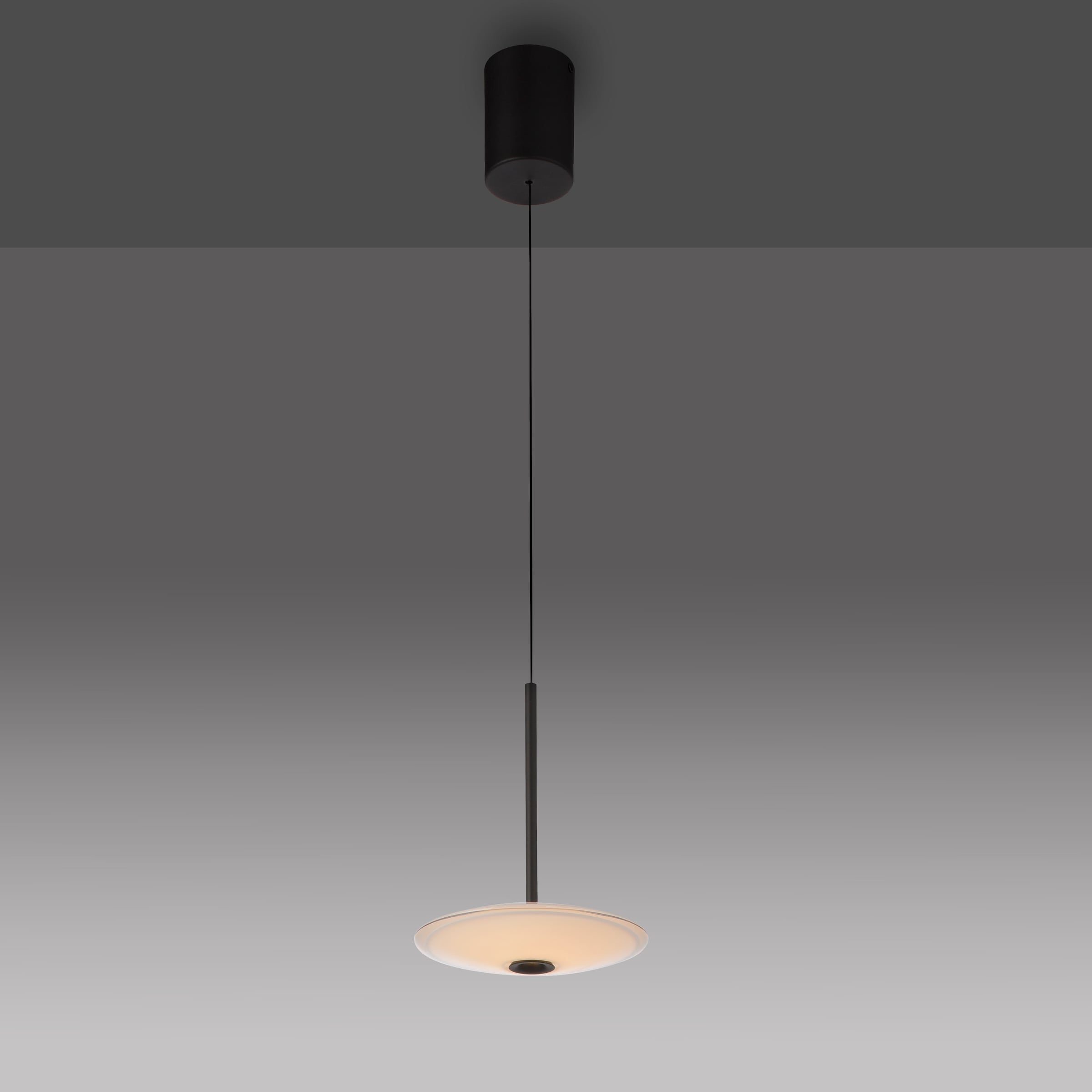 Paul Neuhaus LED Pendelleuchte »ELIPSA« LED-Board 1 Stk. Warmweiß Dimmfähig über separaten Tronicdimmer, Comfort-Lift