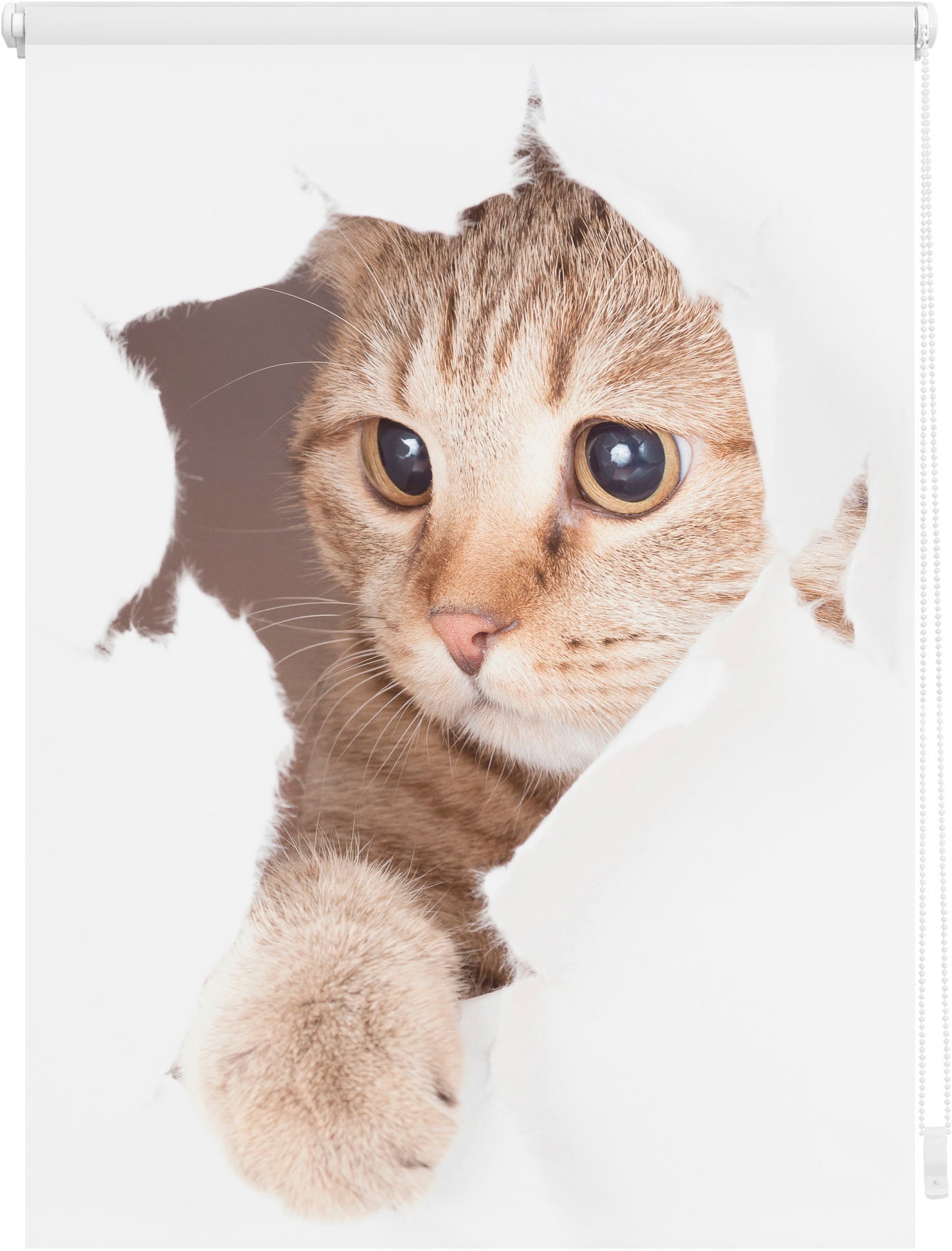 Seitenzugrollo »Klemmfix Digital Katze«, verdunkelnd, energiesparend, ohne Bohren,...