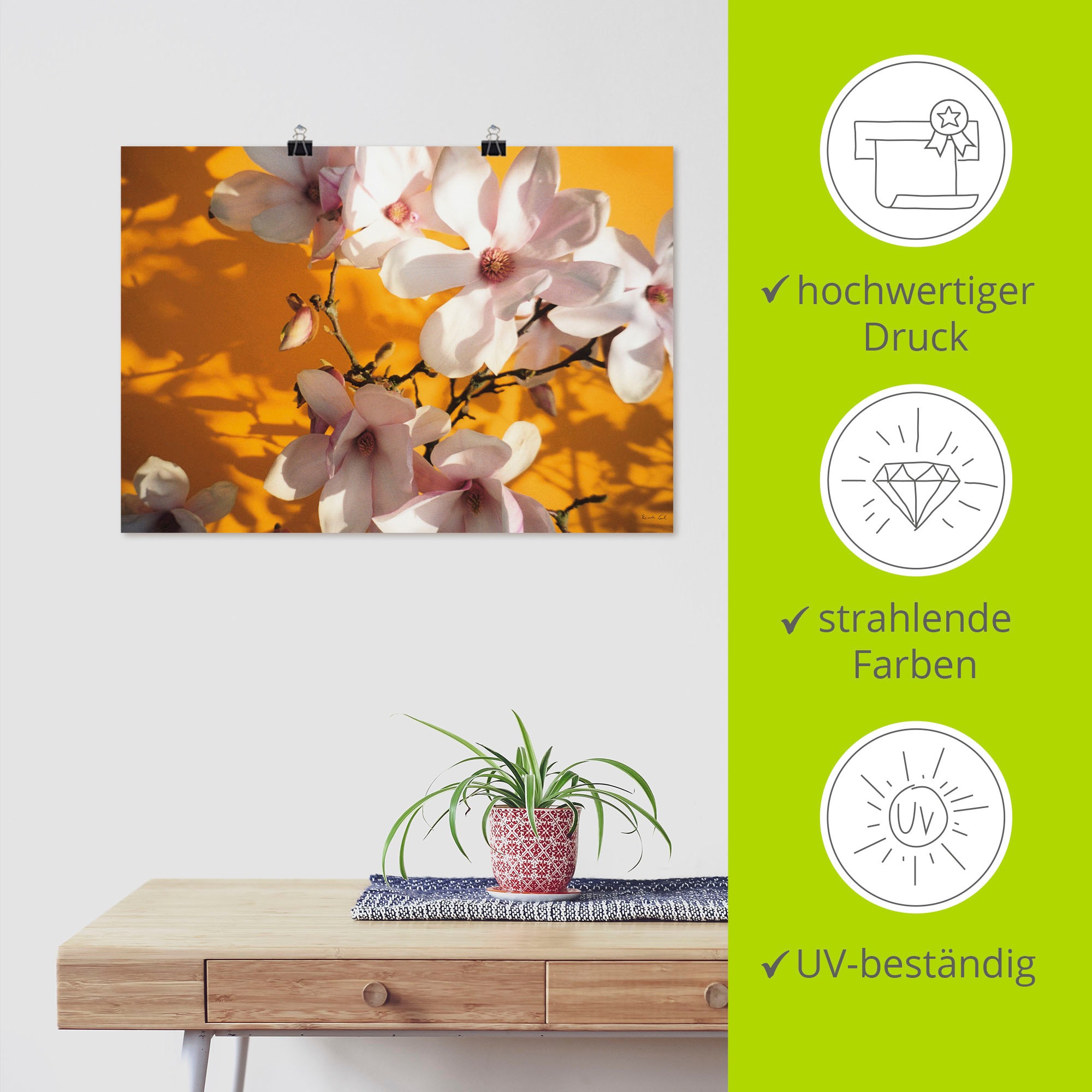 Artland Wandbild »Fotokollage Magnolie«, Blumen, (1 St.), als Leinwandbild, Poster in verschied. Größen