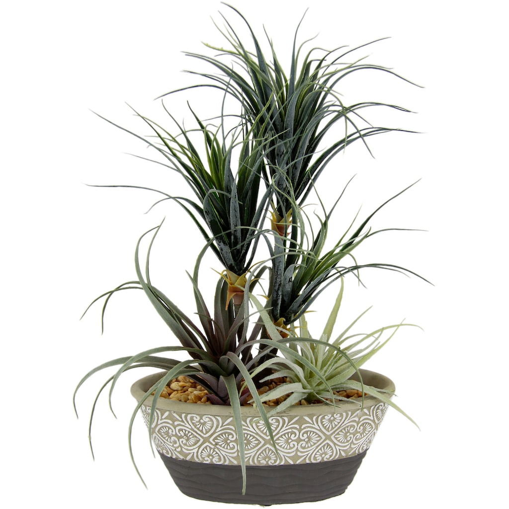 I.GE.A. Kunstpflanze »Dracena/Tillandsia«