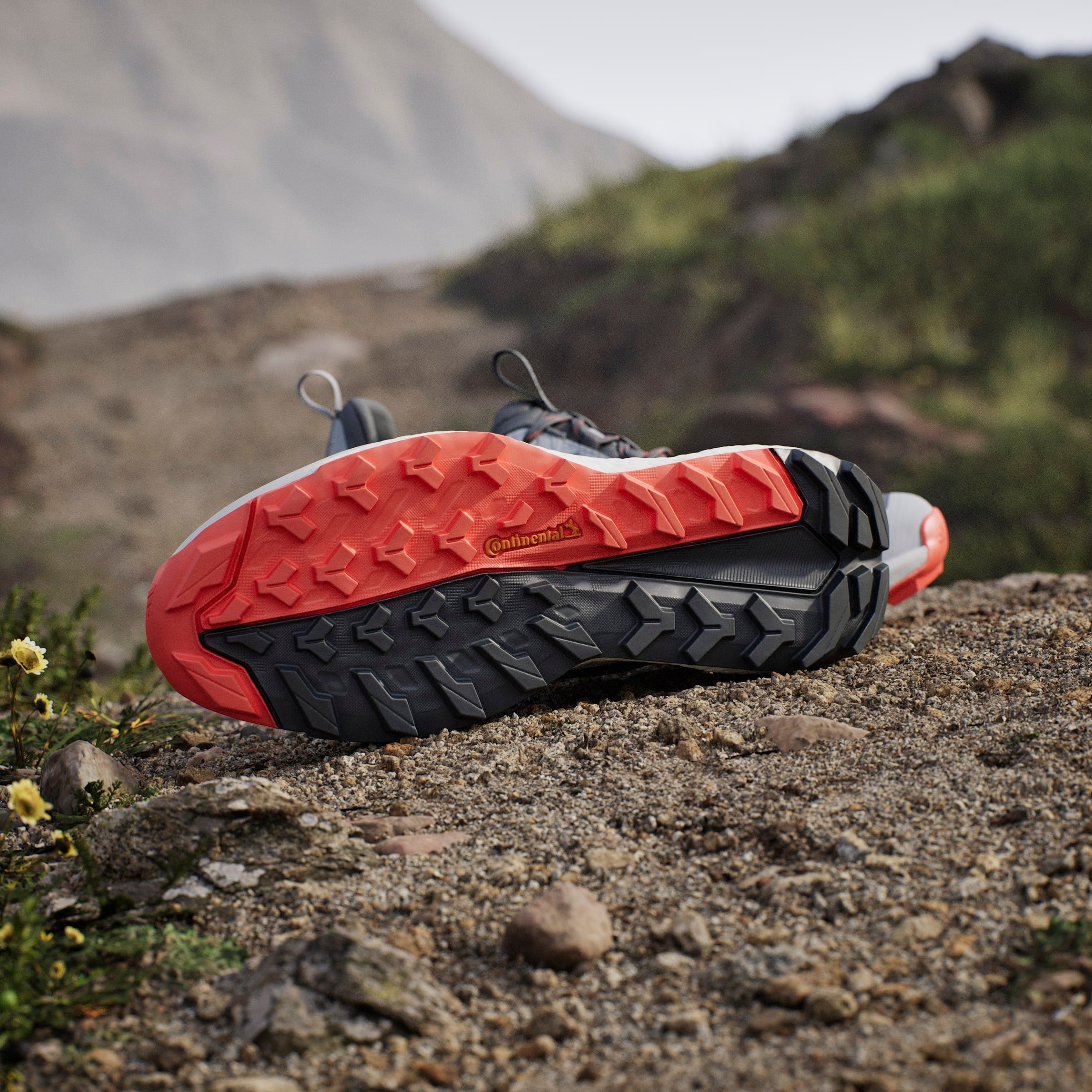 adidas TERREX Wanderschuh »FREE HIKER 2.0 LOW GORE-TEX«, wasserdicht