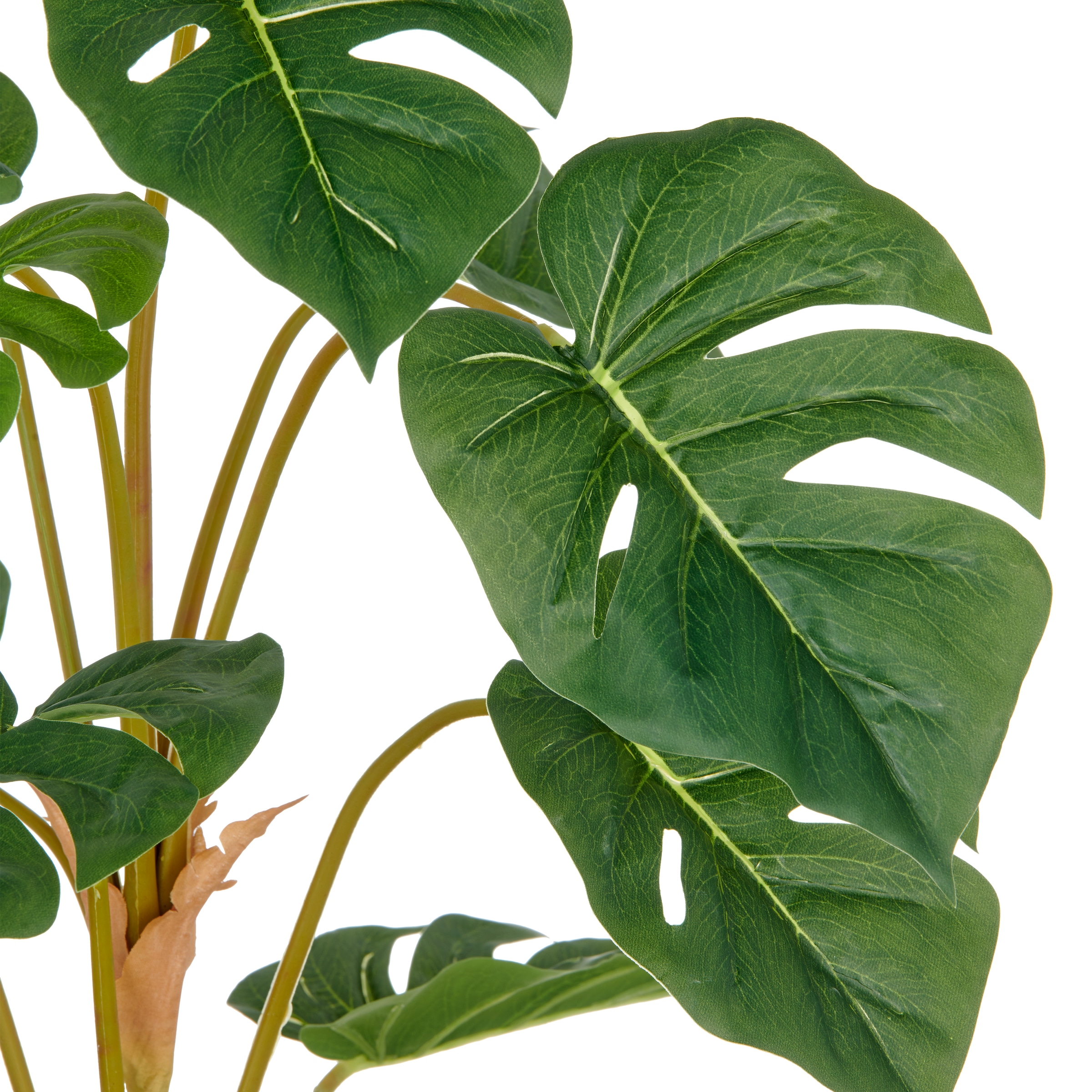 Creativ green Kunstpflanze »Split Philodendron« mit schönem Blattwerk