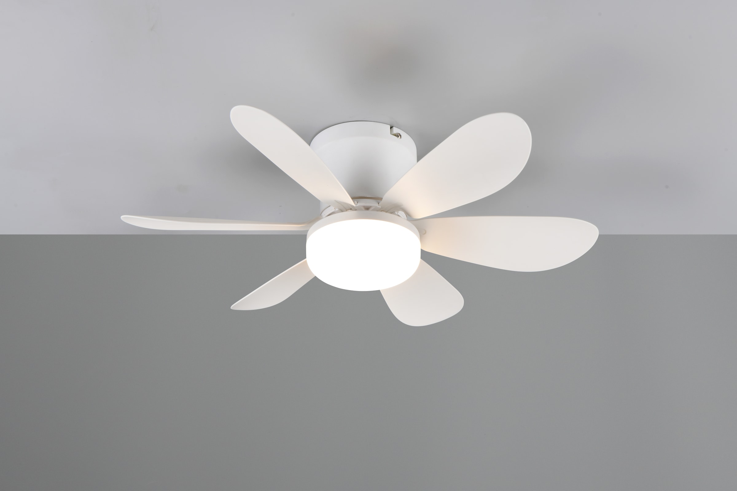 REALITY Leuchten LED Deckenleuchte »LUND mit Ventilator, Deckenventilator mit Licht inkl Fernbedienung« LED-Board 1 Stk. warmweiß - kaltweiß 3 Geschwindigkeiten Timer Vor- & Rücklauf LED dimmbar CCT Nachtlicht