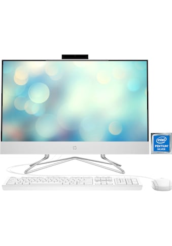 HP All-in-One PC »24-df0022ng« kaufen