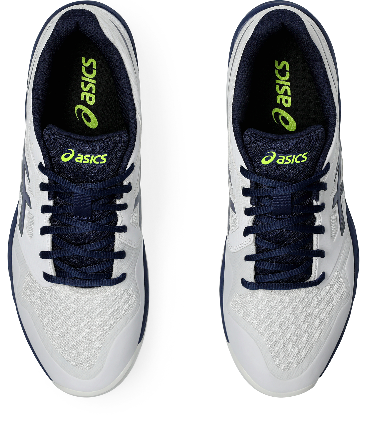 Asics Indoorschuh »GEL-COURT HUNTER 3«