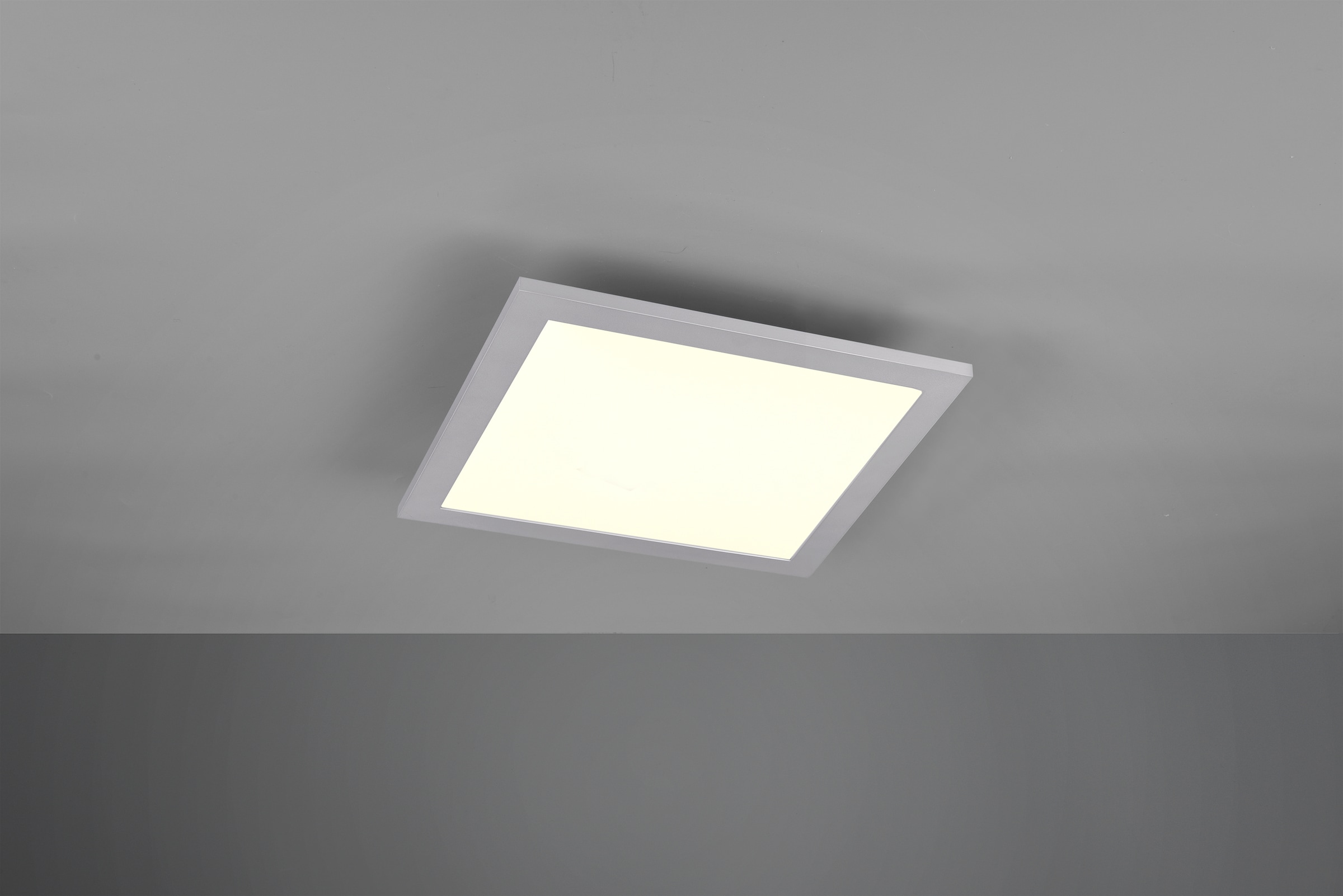 TRIO Leuchten | XXL Garantie 3 kaufen »ALIMA«, 1 online LED LED Deckenlampe Deckenleuchte mit Jahren flammig-flammig