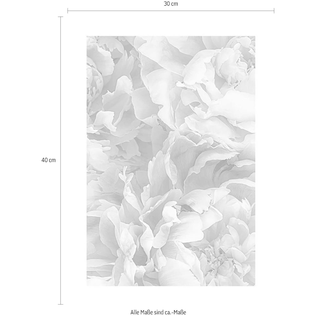 Komar Poster »Soave«, Blumen, (1 St.)