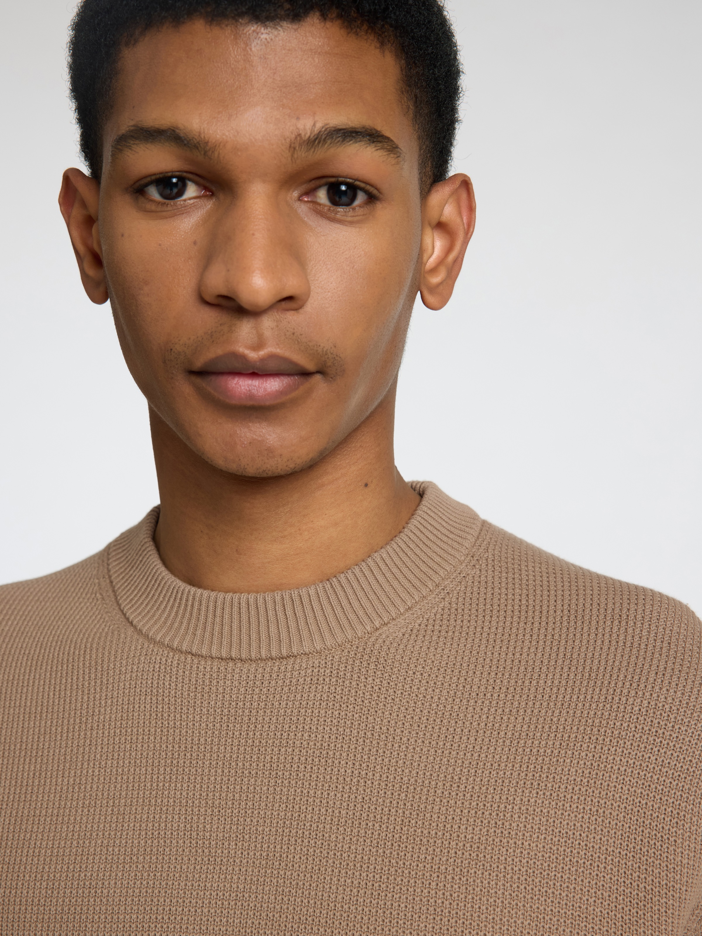 SELECTED HOMME Rundhalspullover »SLHDANE LS KNIT STRUCTURE CREW NECK NOOS«